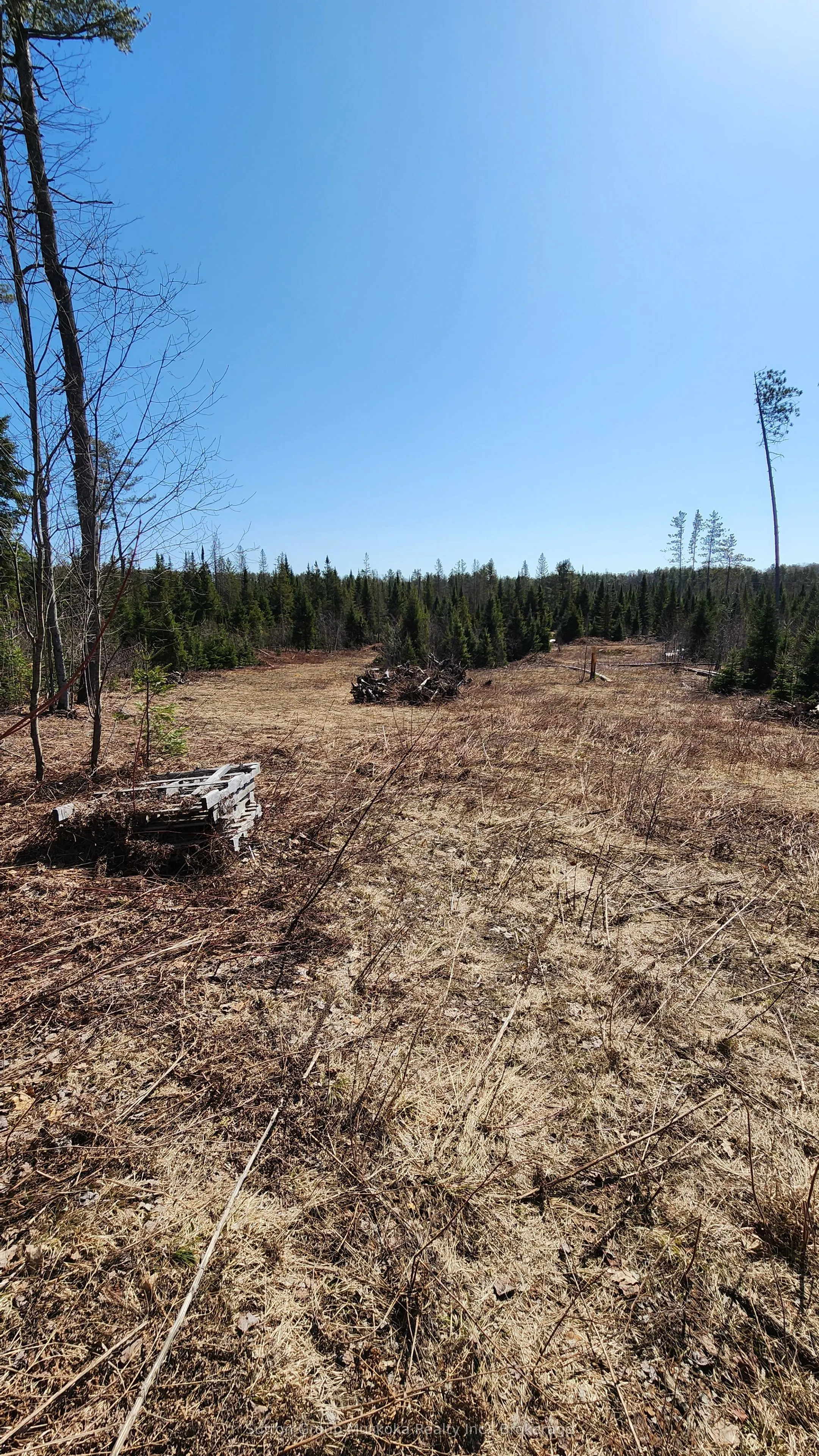 00 Red Pine Trail