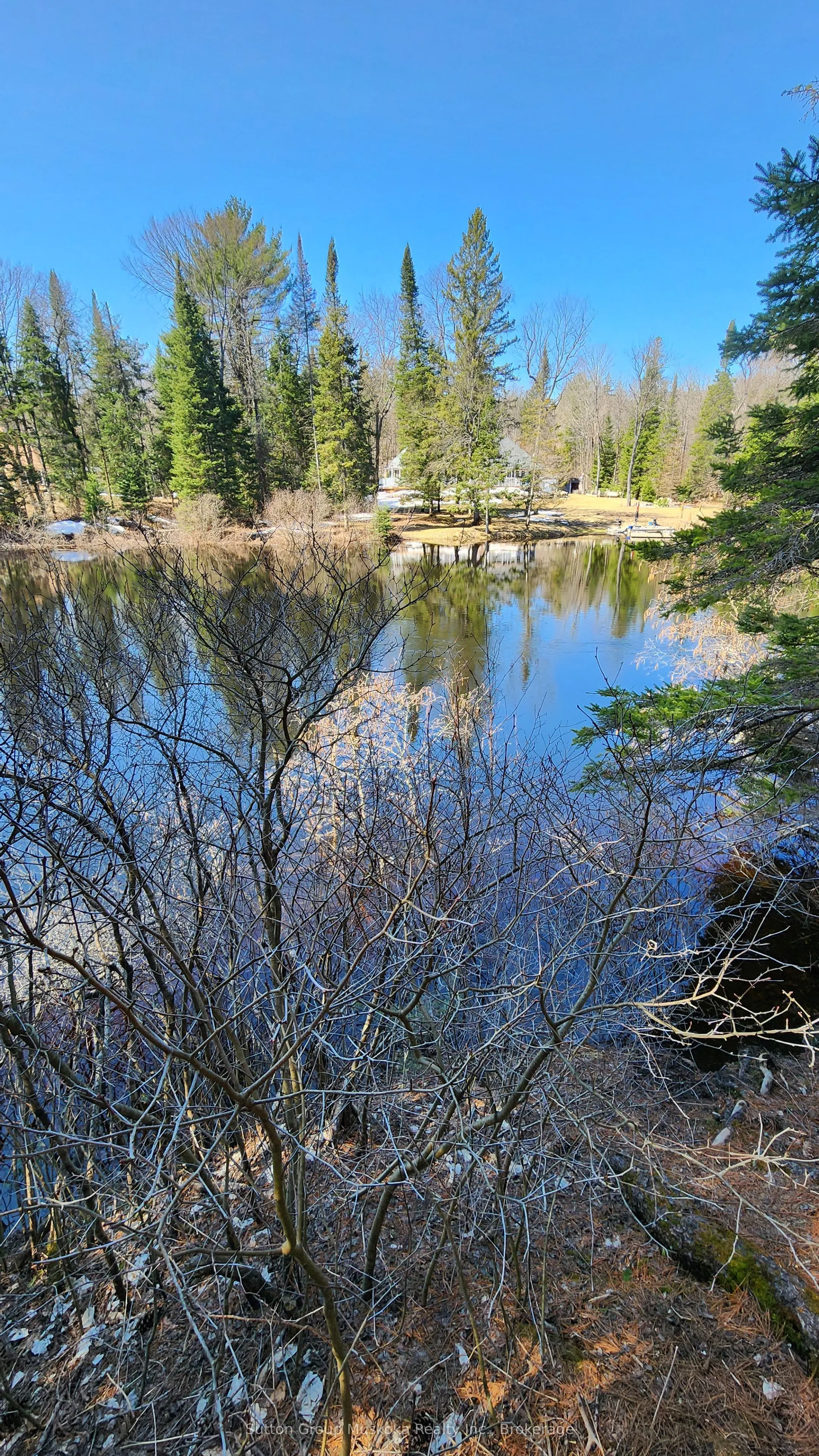 00 Red Pine Trail