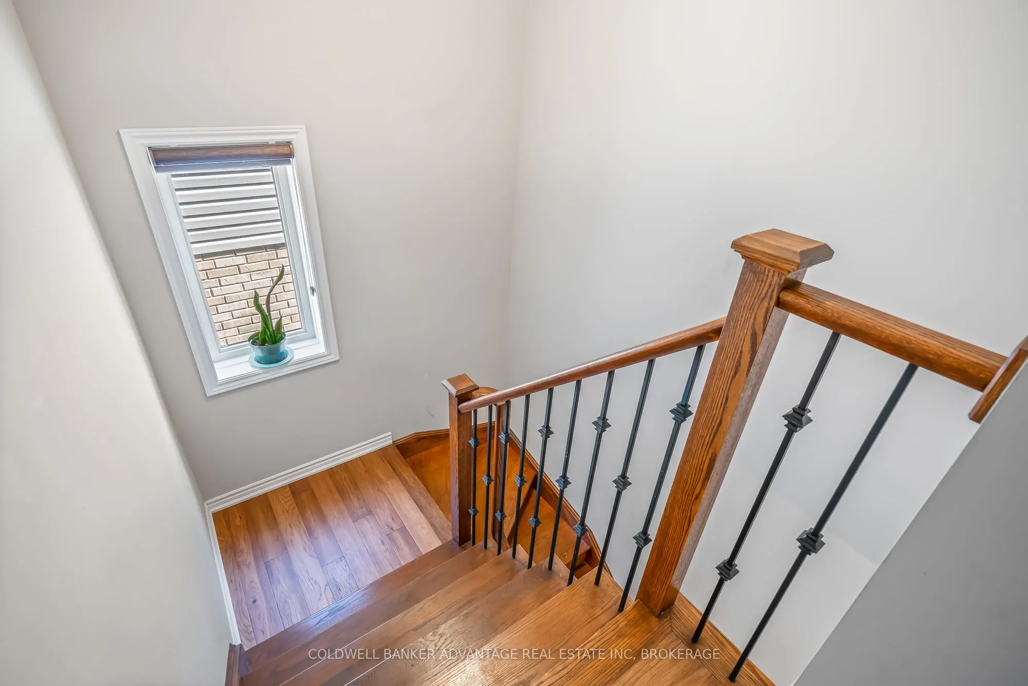 177 Louise Street