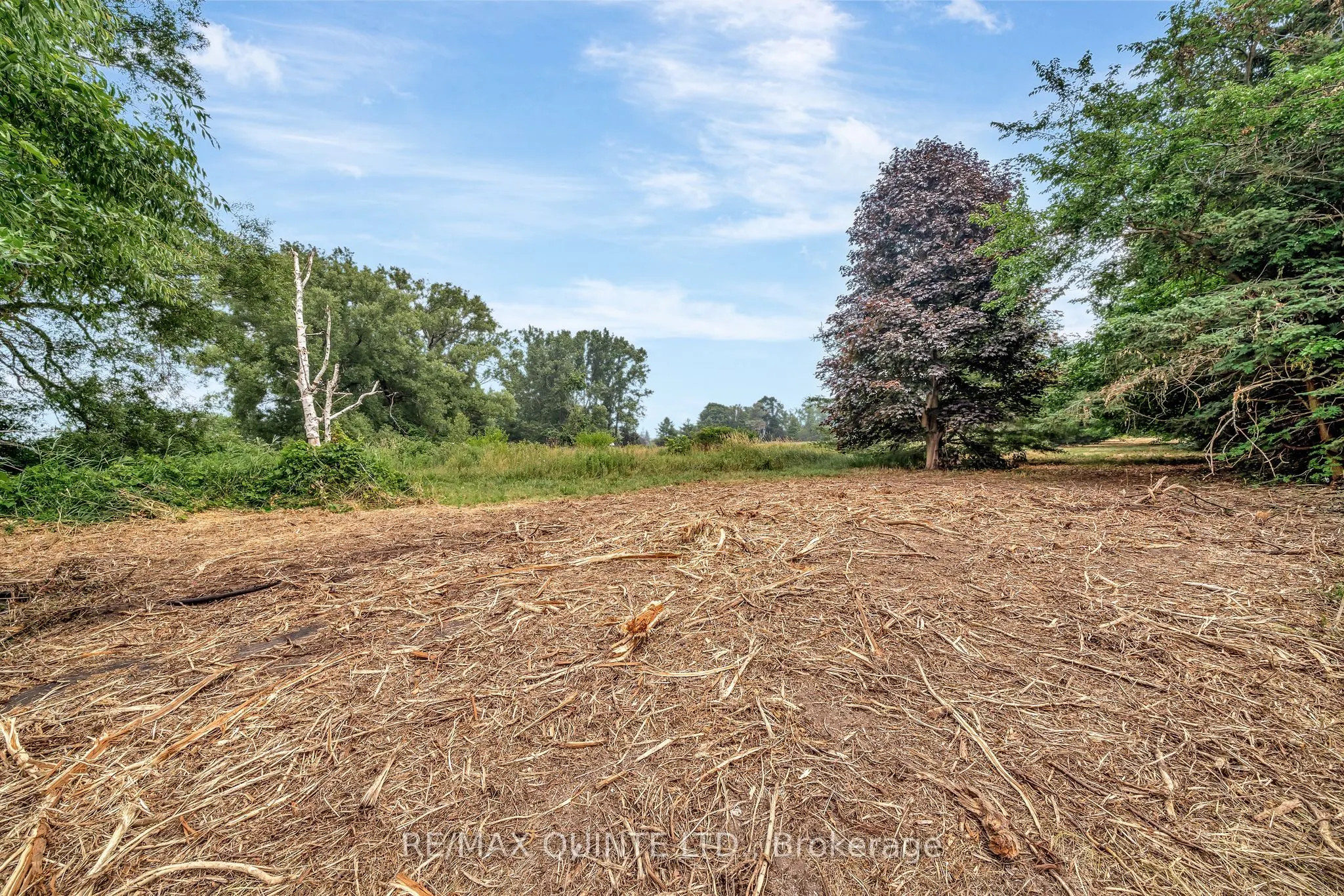 1462 County Road 12