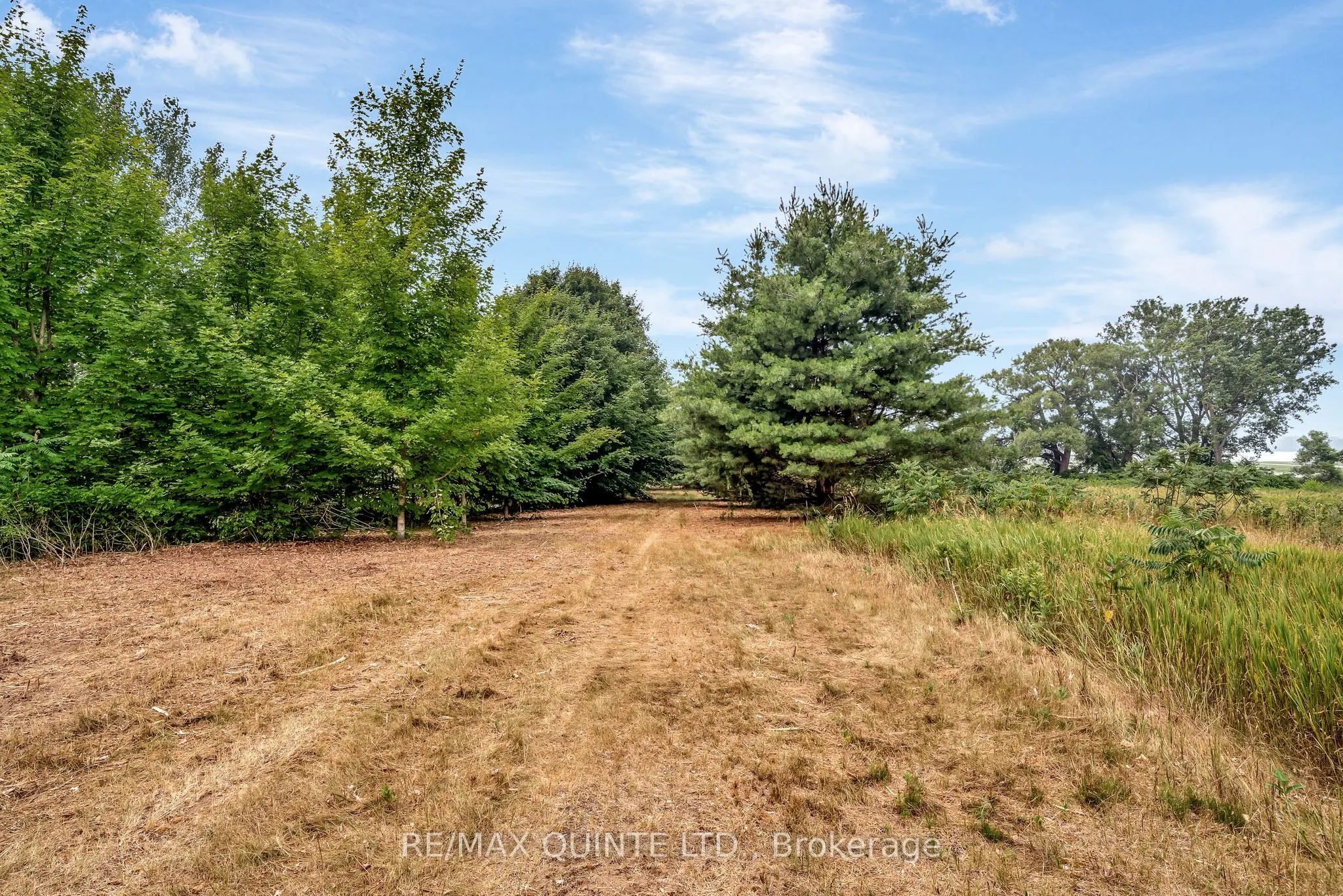 1462 County Road 12