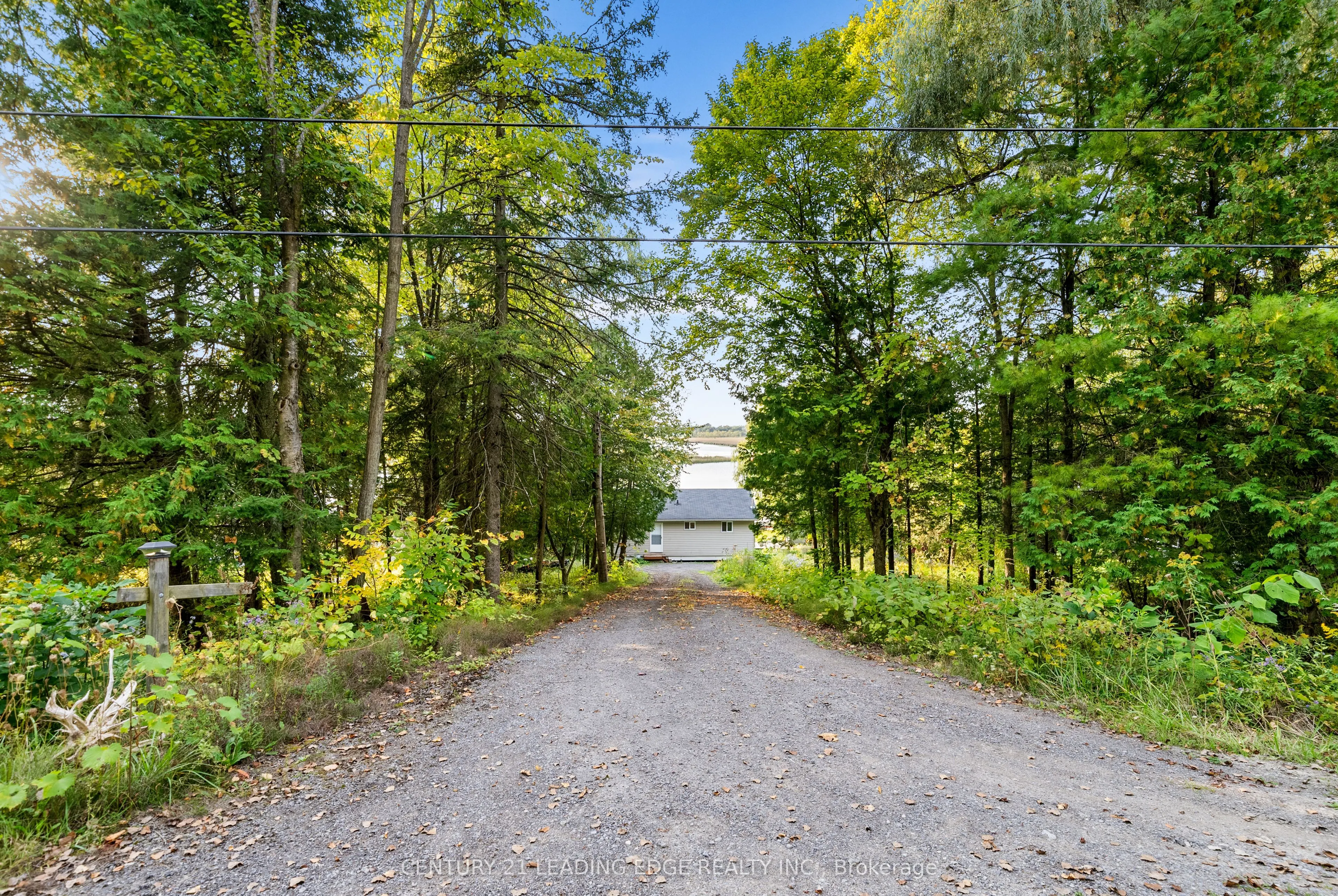 50 Cedar Lane