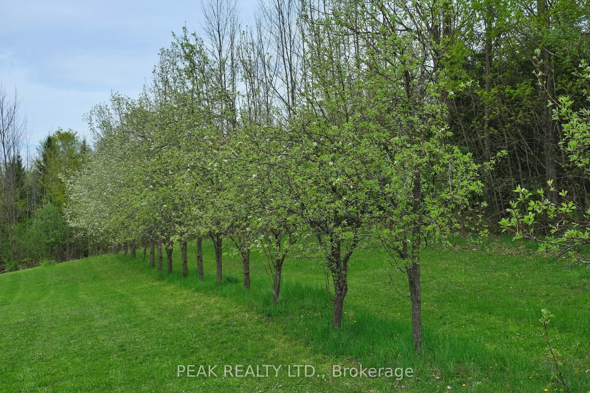 546299 Sideroad 4B Road