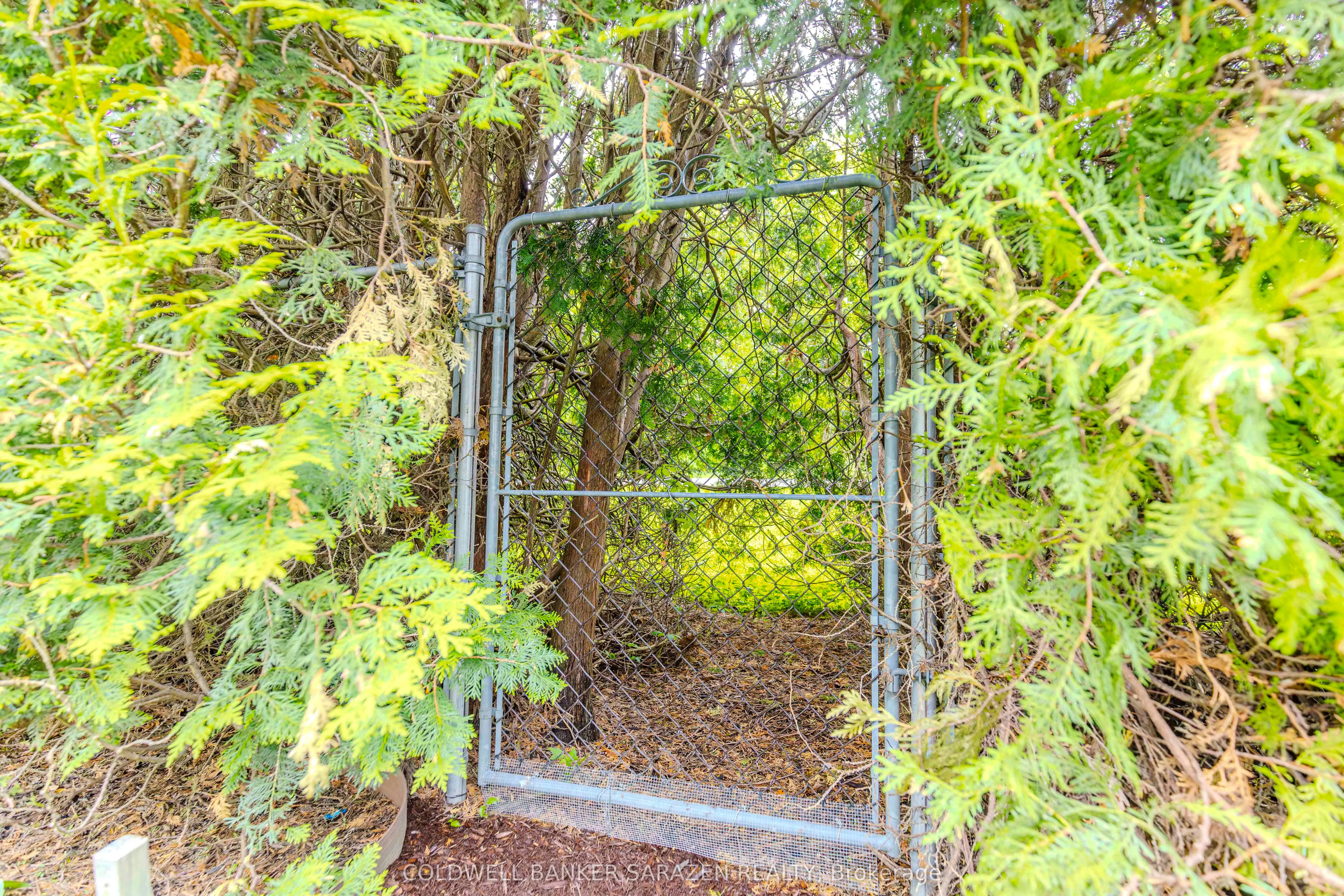 22 Crimson Gate