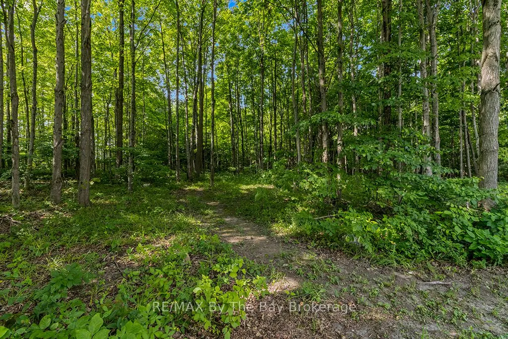 600055 50 Side Road S
