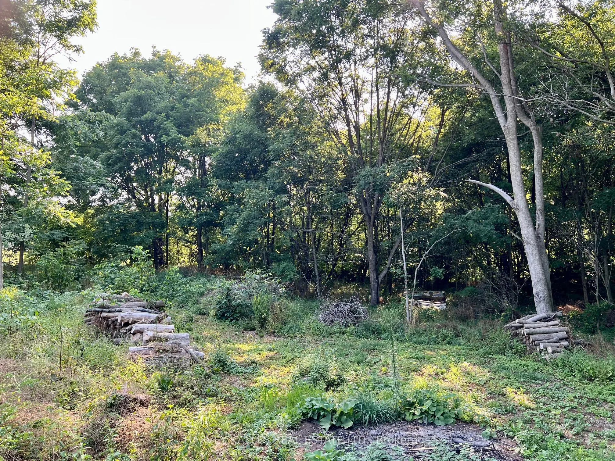 496 County Rd 10 Road