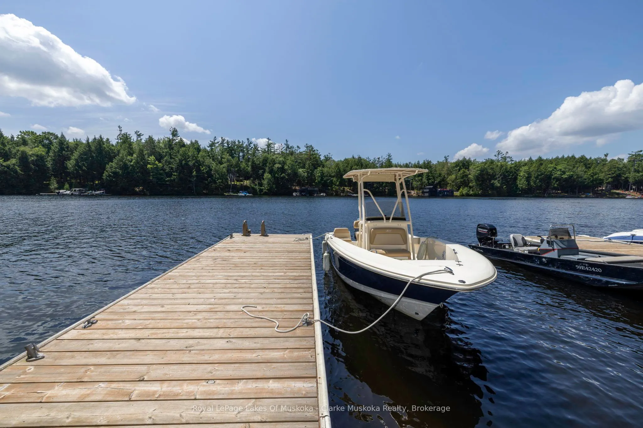 41 MILLER ISLAND