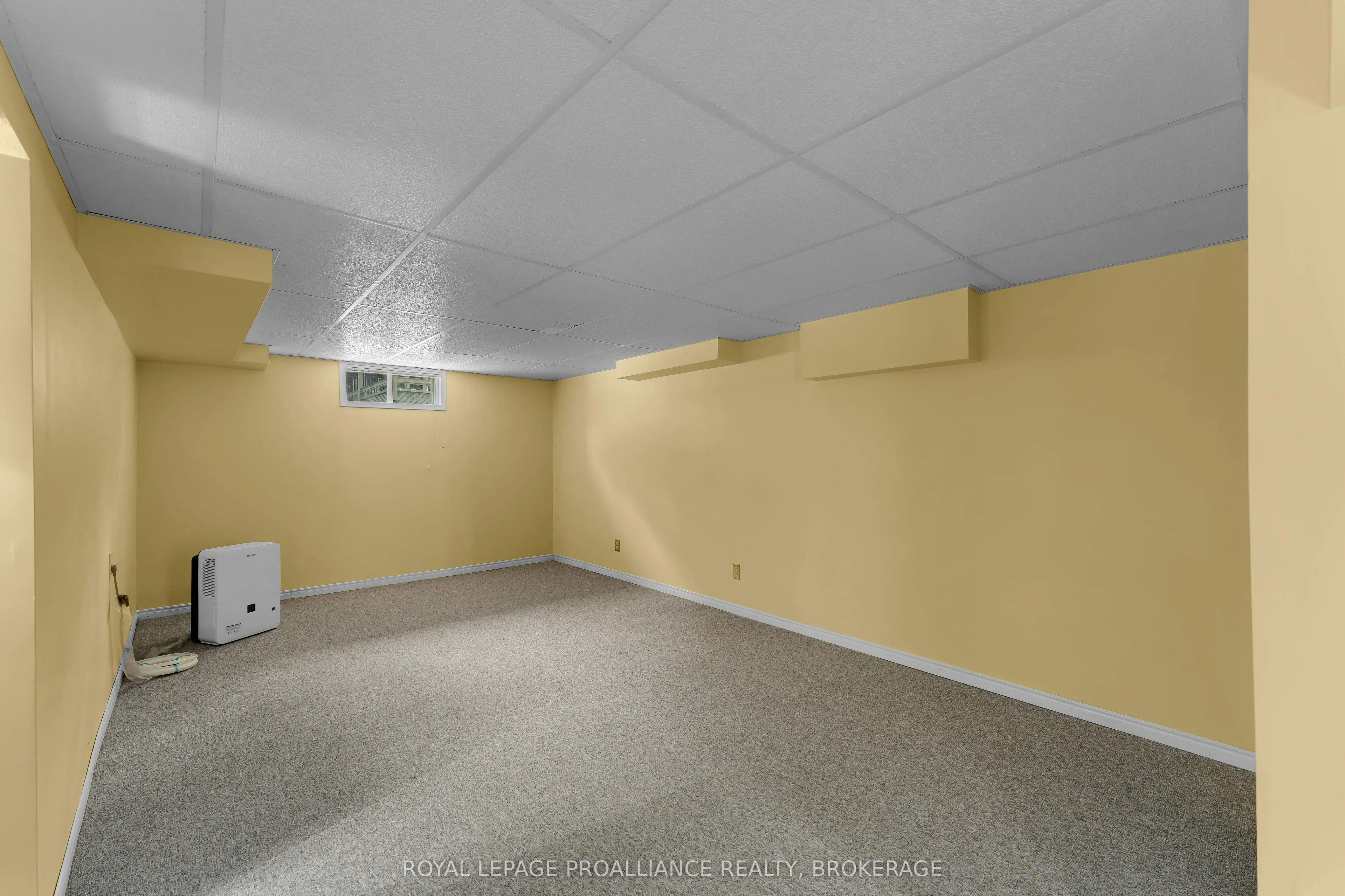 954 Mona Drive
