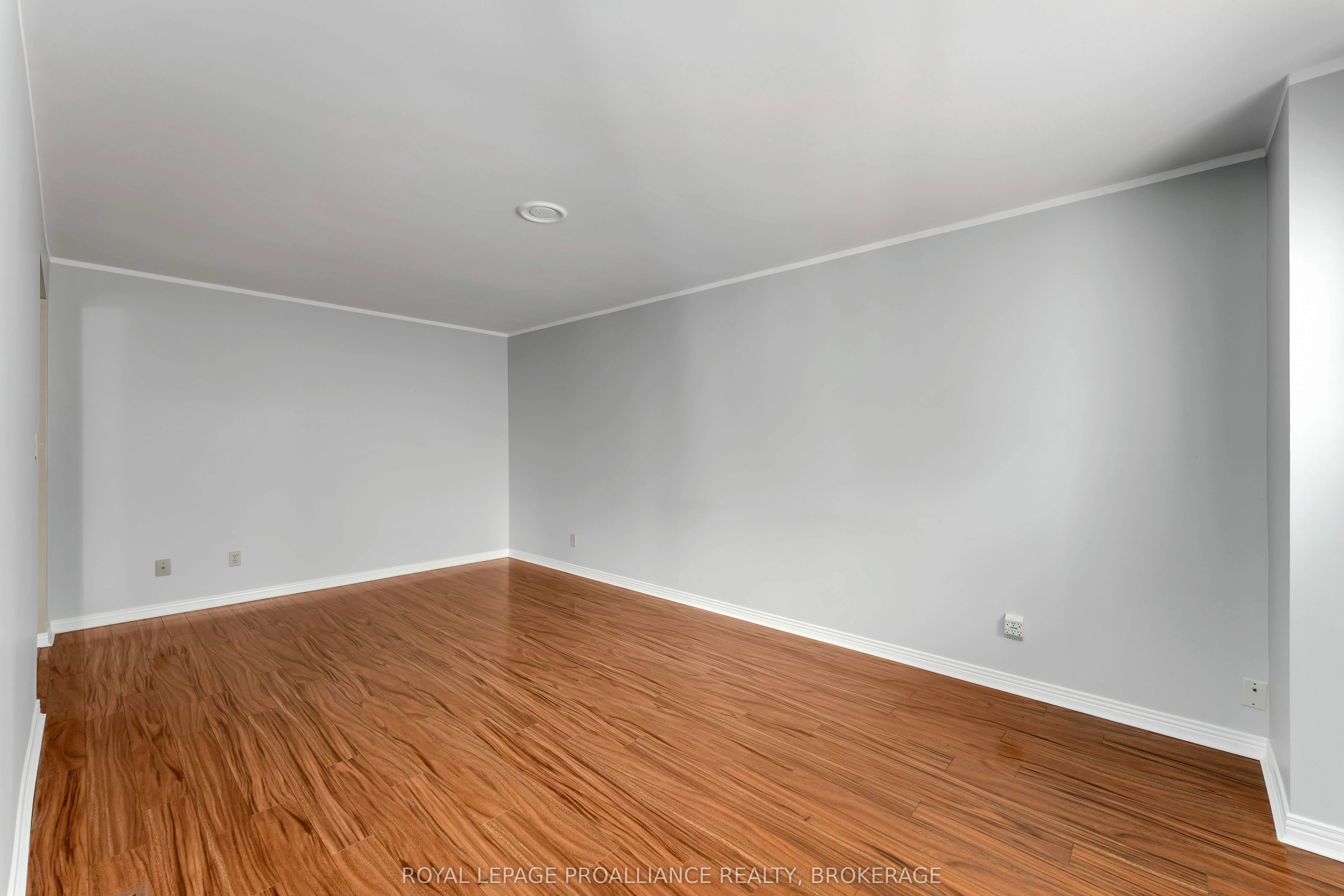 954 Mona Drive
