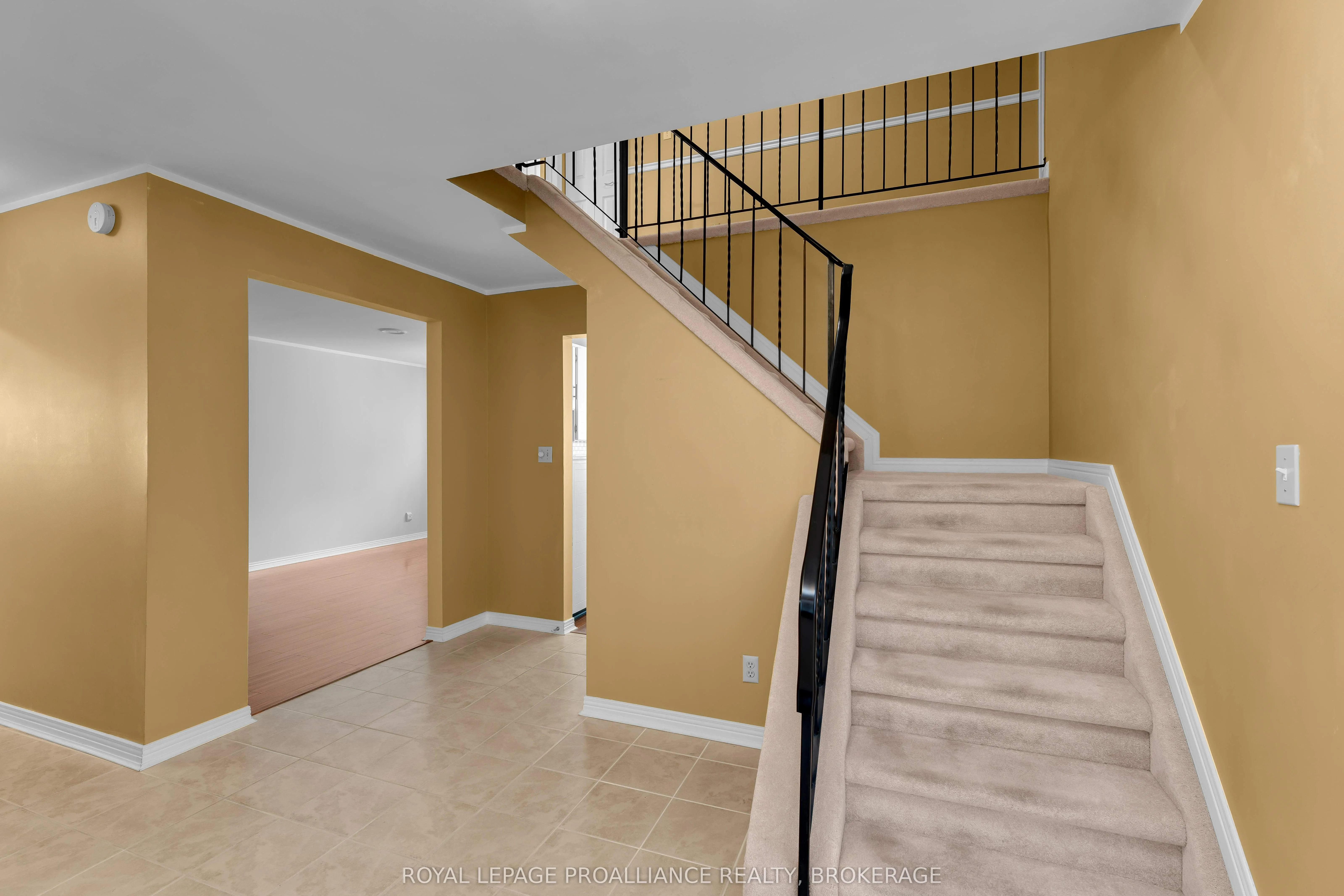 954 Mona Drive