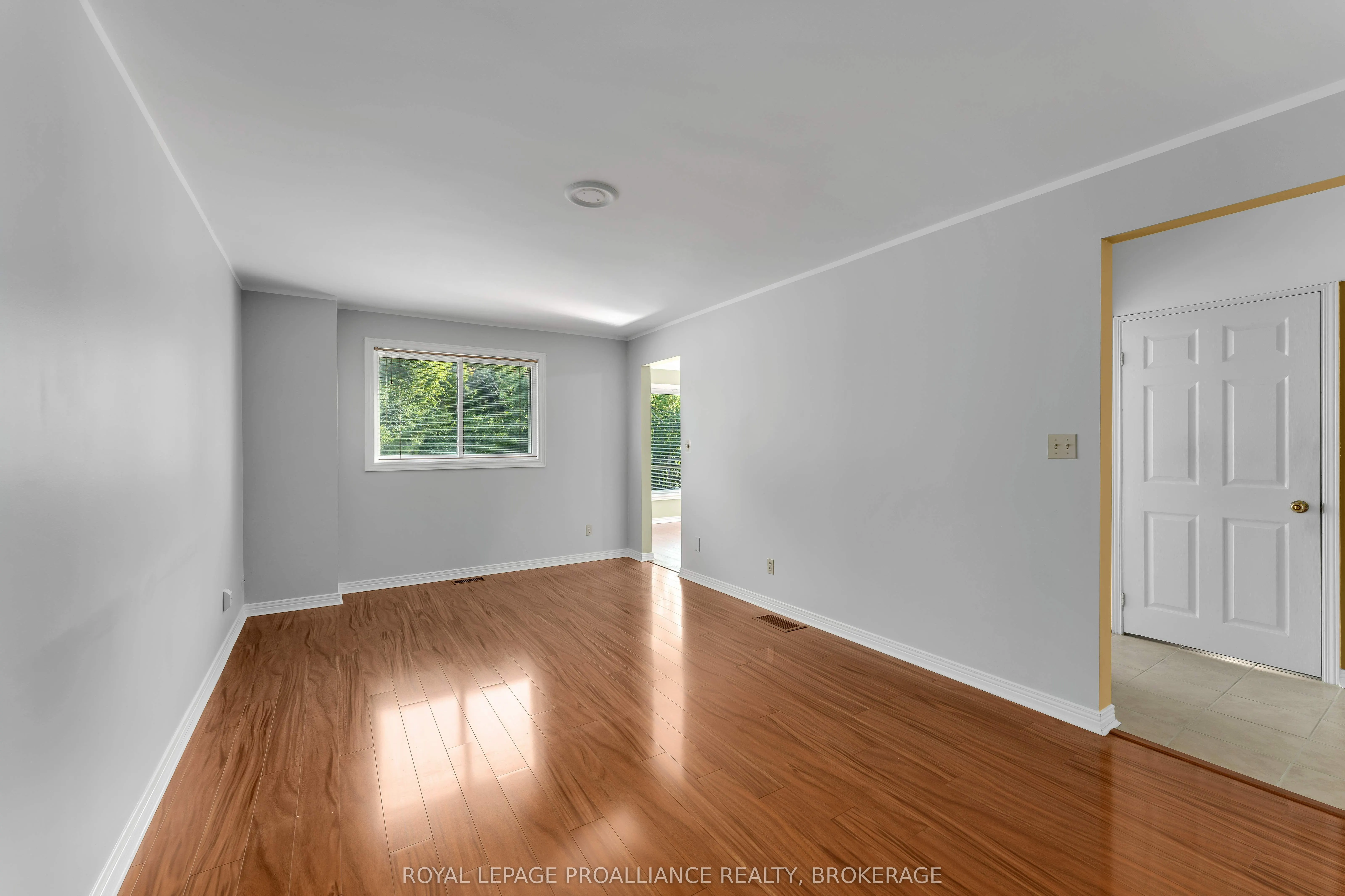 954 Mona Drive