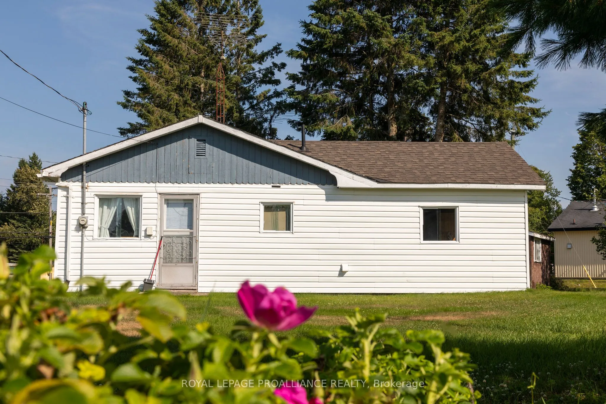 4 Tall Pine Road