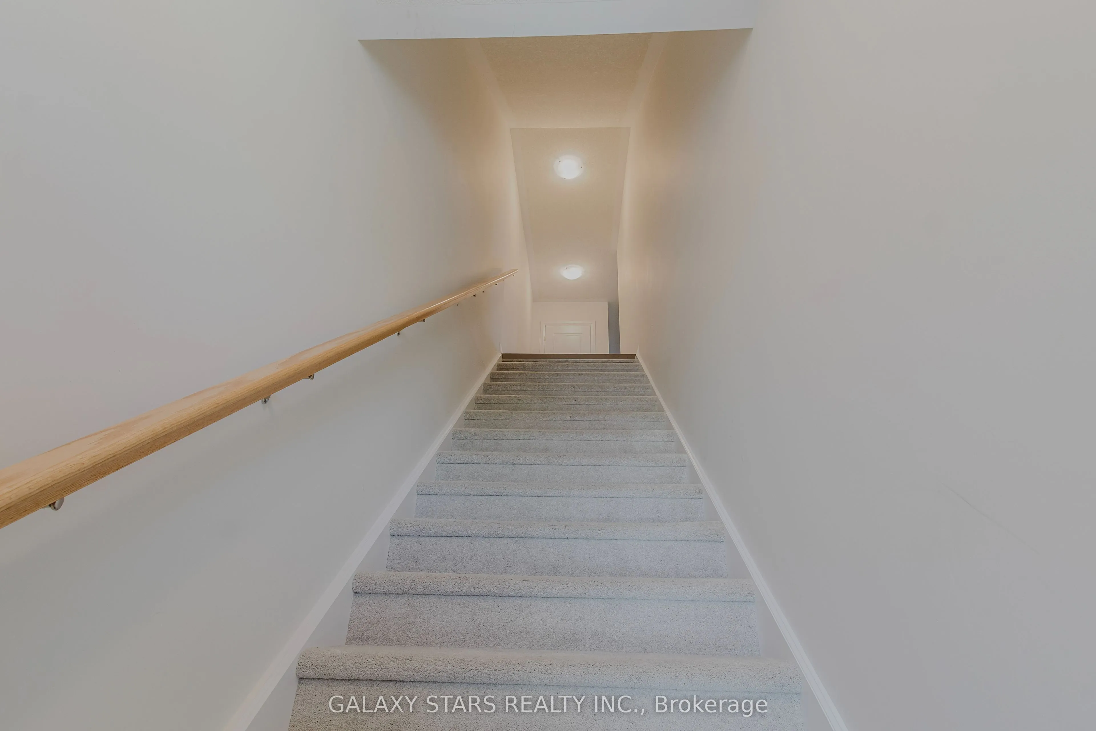 142 Foamflower Place, #36