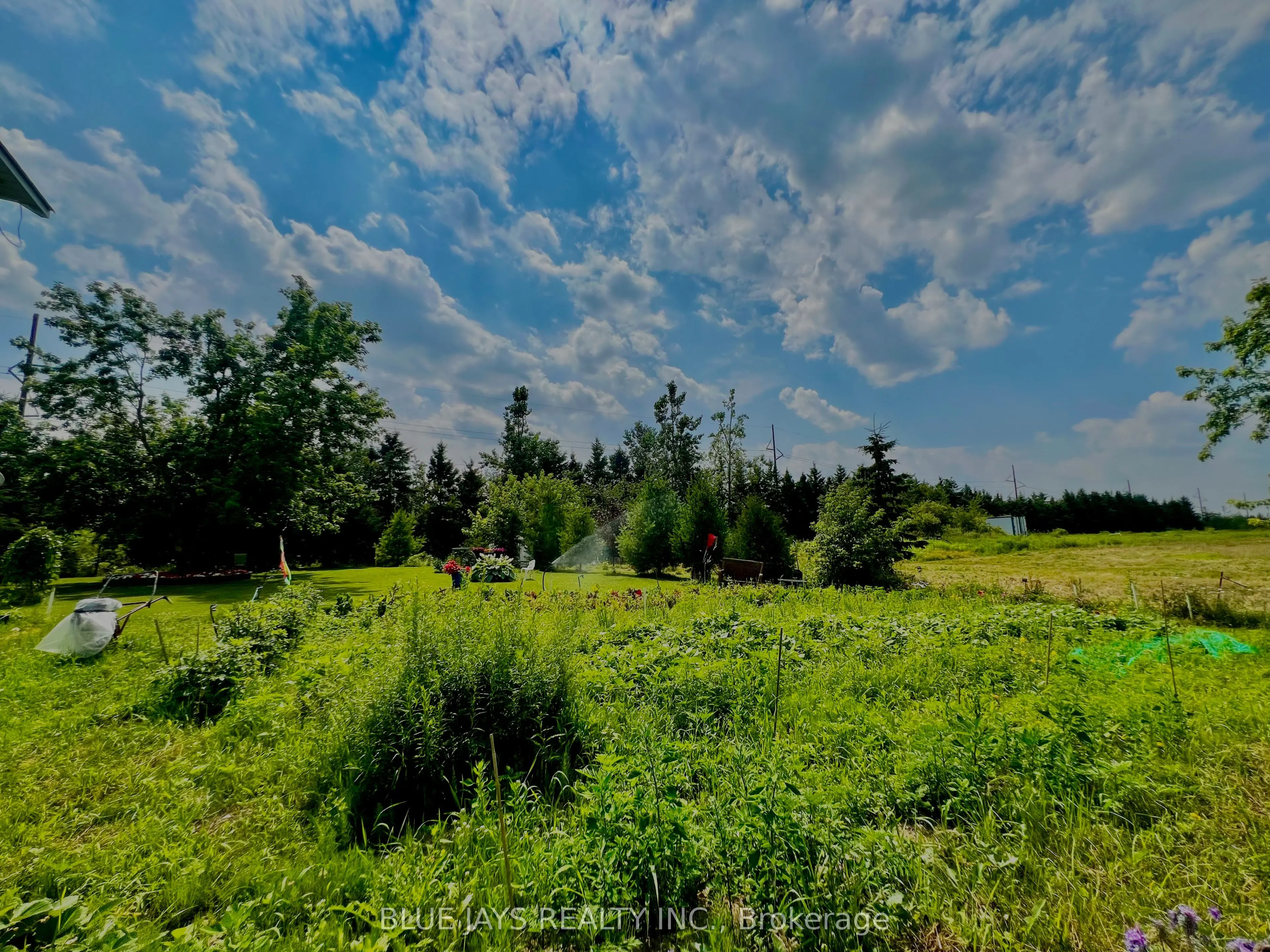 642421 270 Sideroad Road W