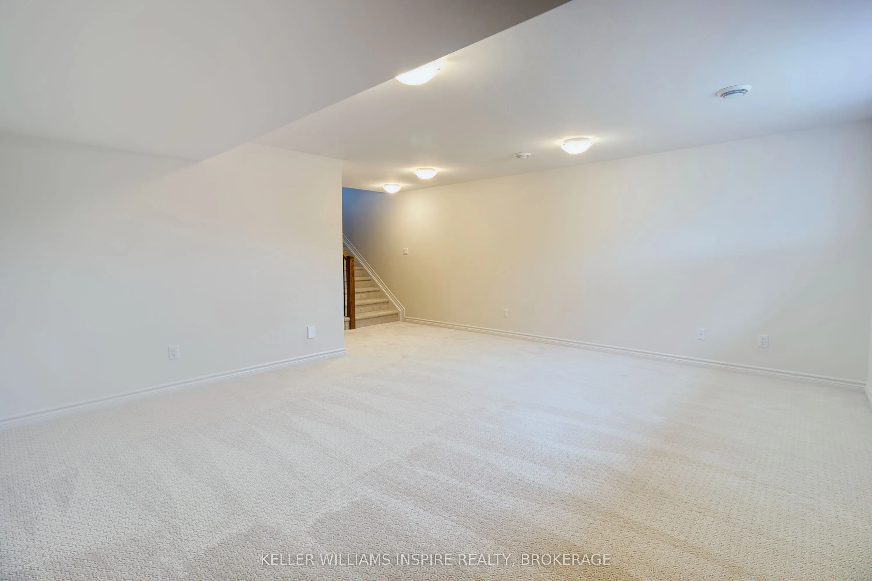 446 Buckthorn Drive