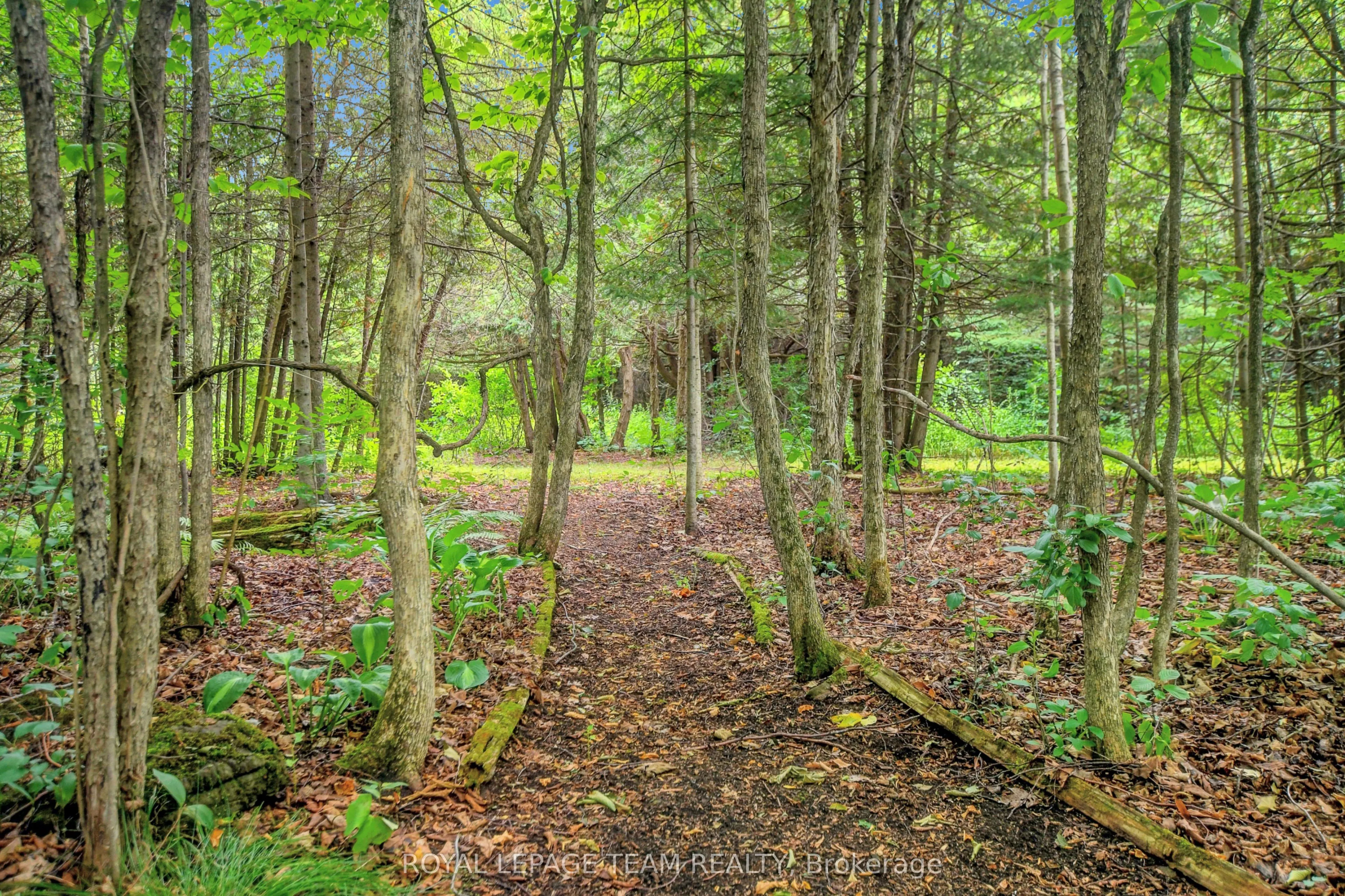 1043 County rd 44 Road E