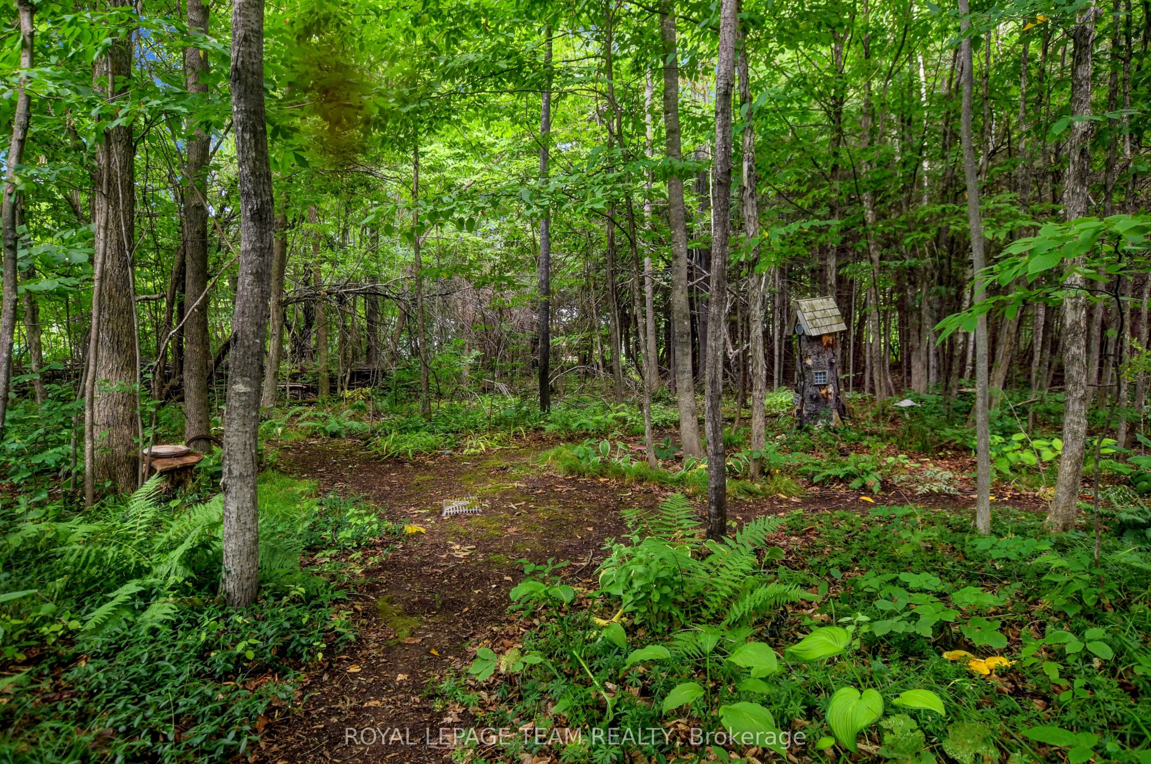 1043 County rd 44 Road E