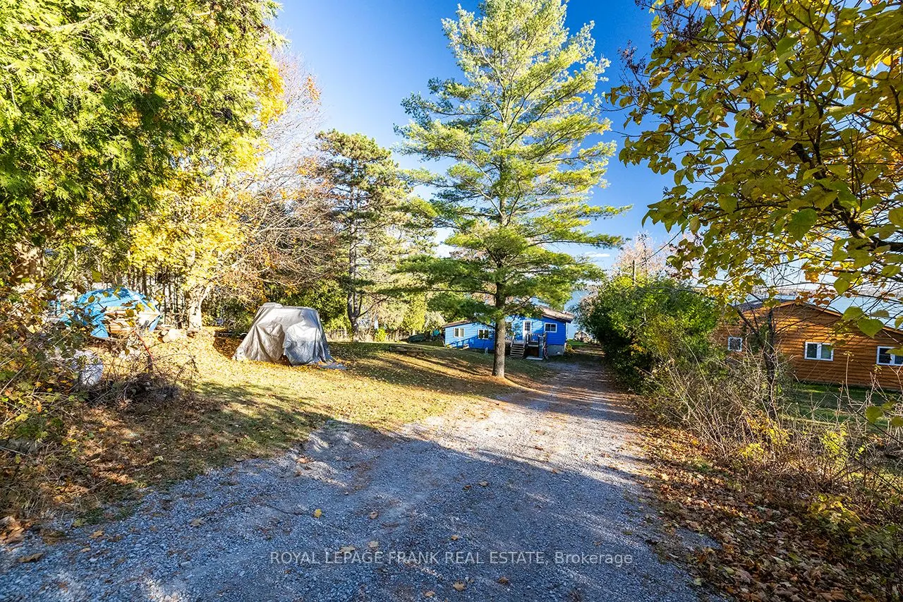 121 Ball Point Road
