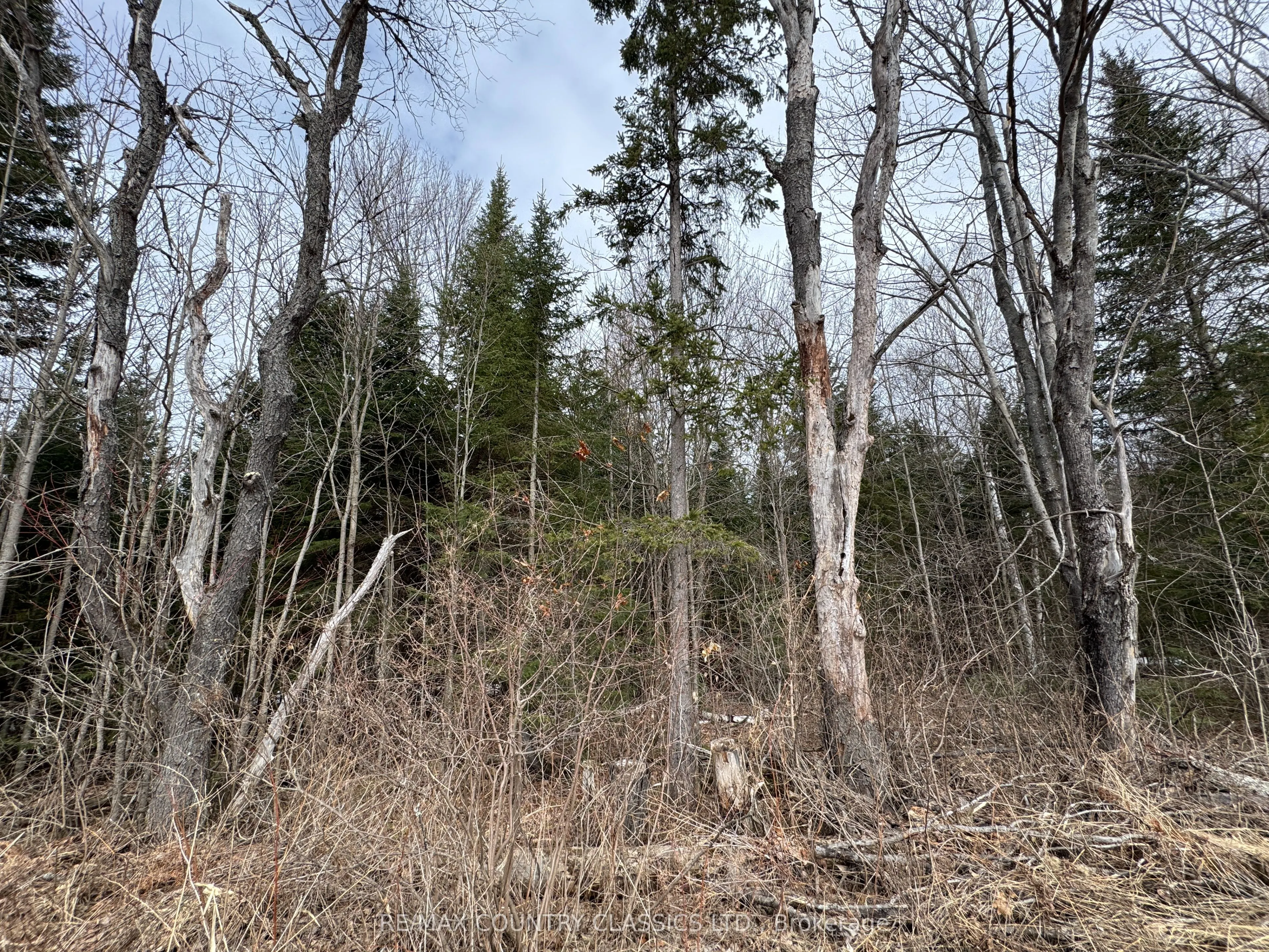 0 McPherson Road