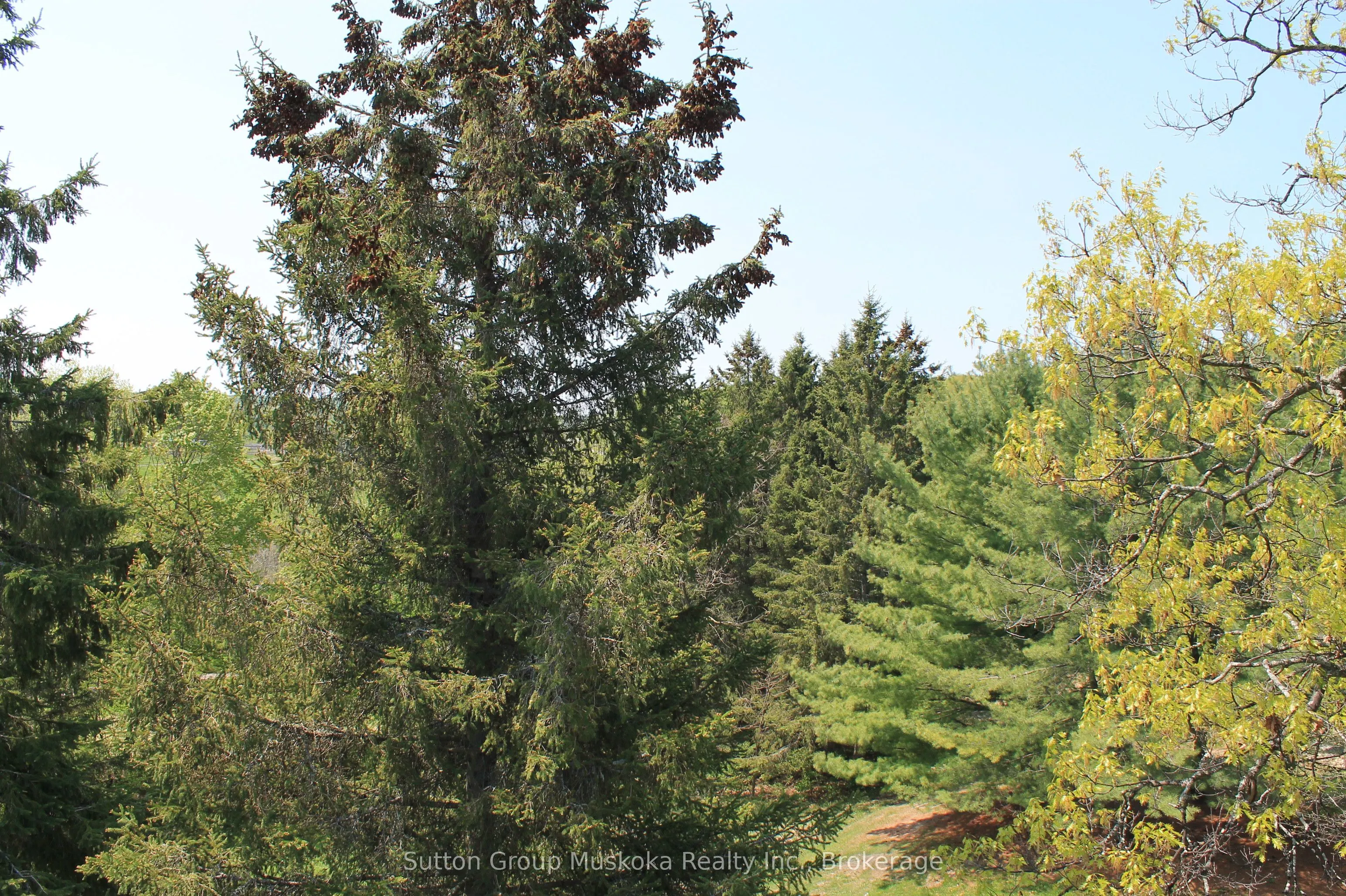 1235 Deerhurst Drive, #52-305