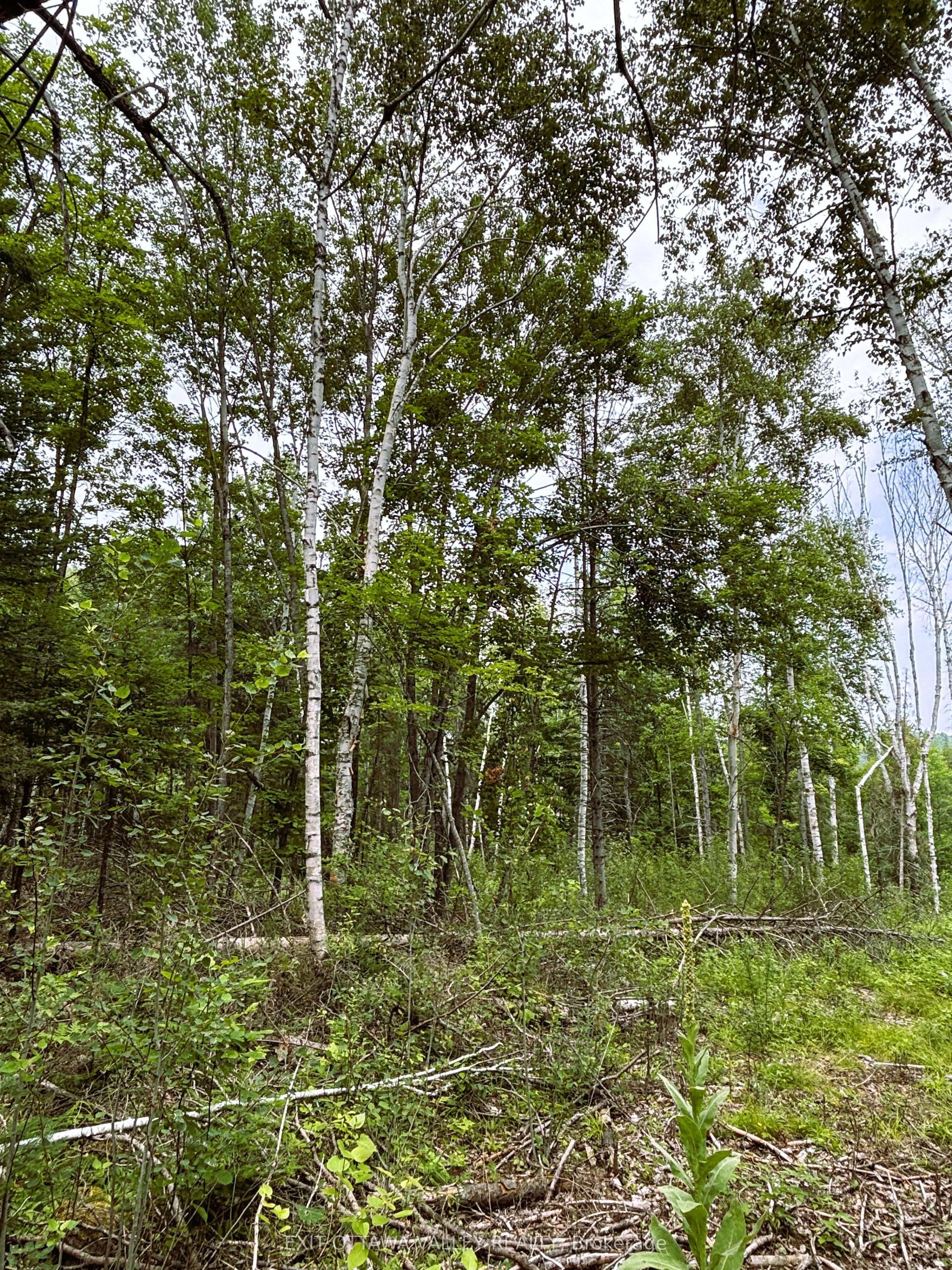 001 Siberia Road