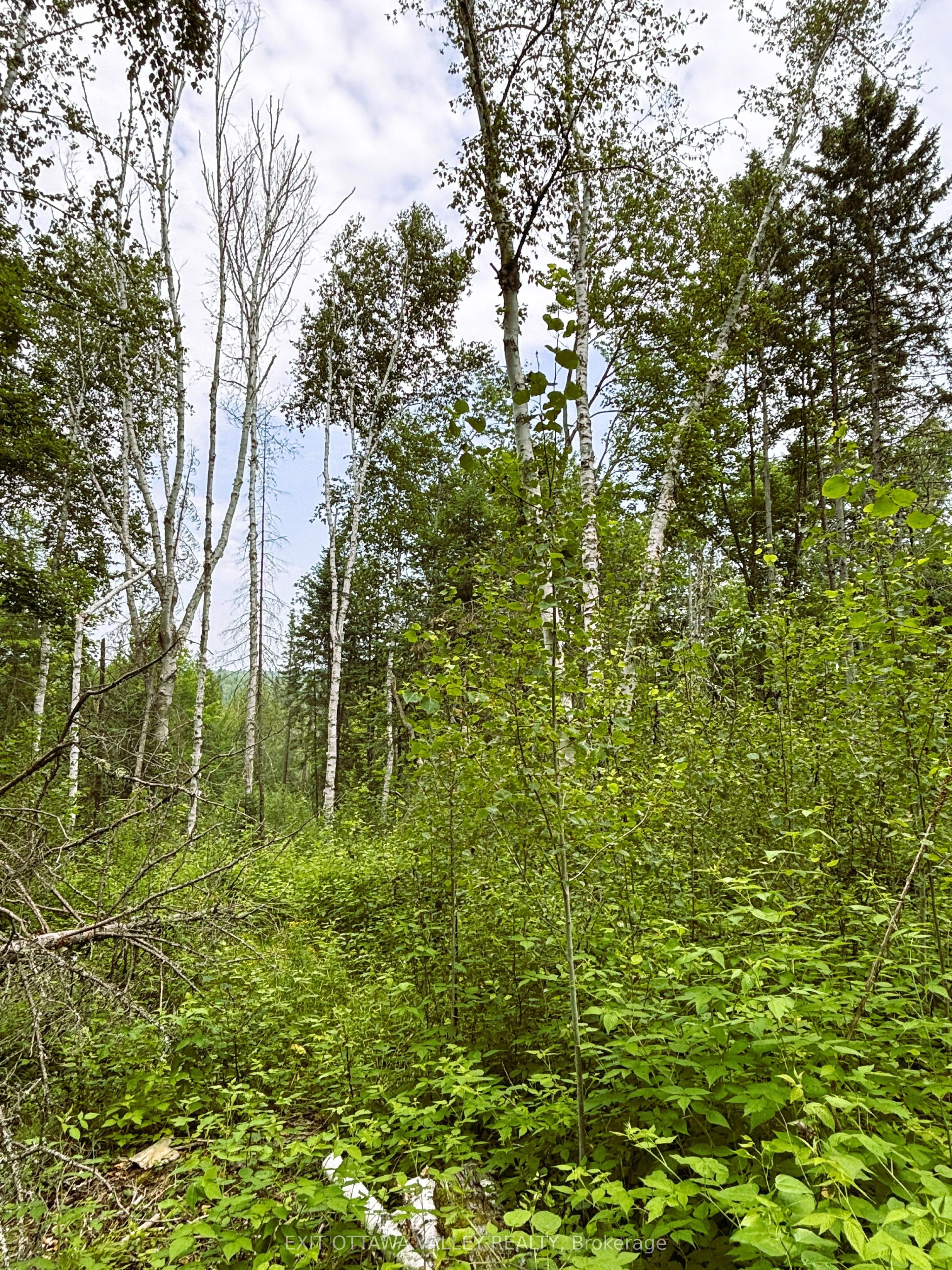 001 Siberia Road