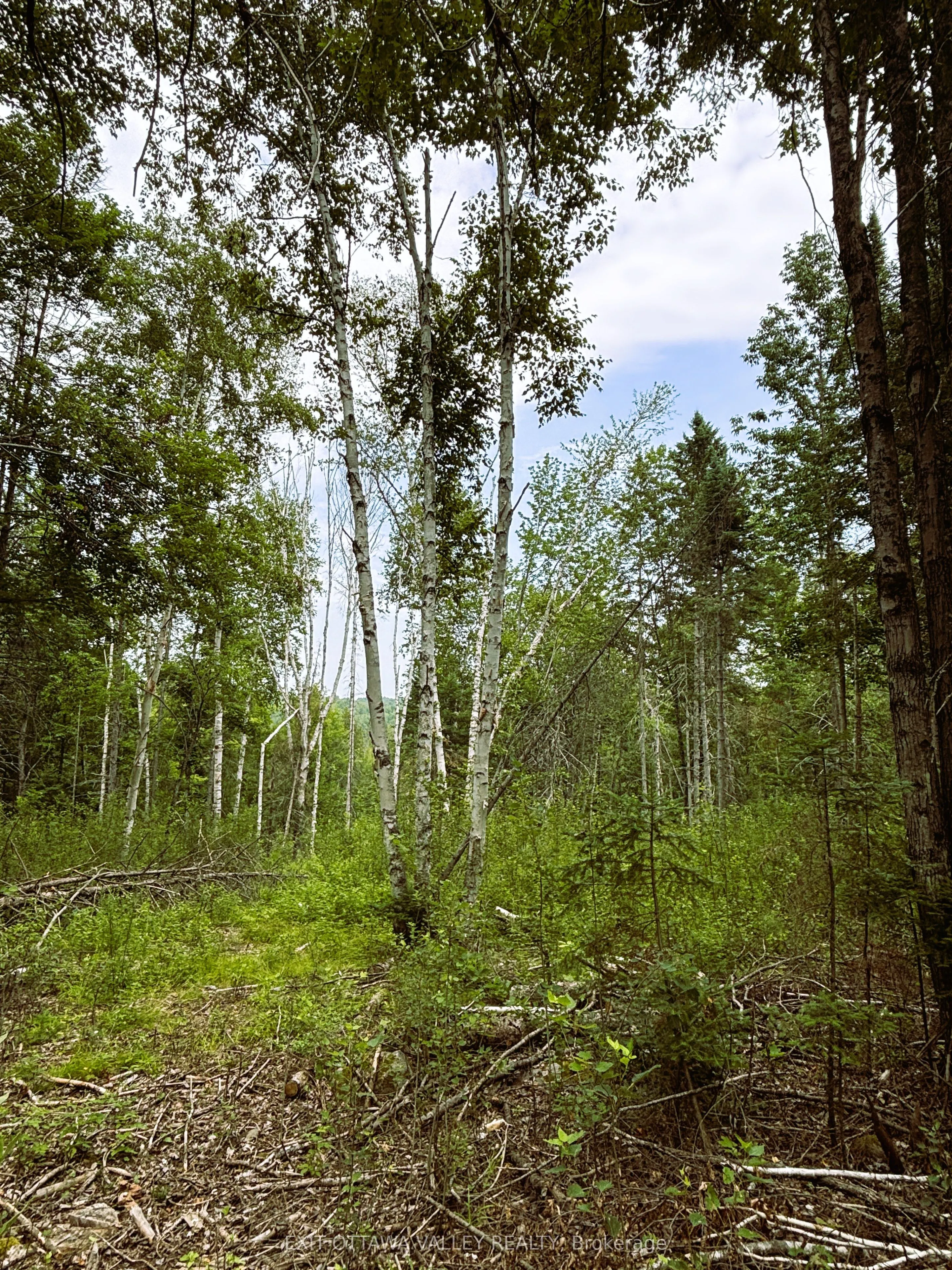 001 Siberia Road