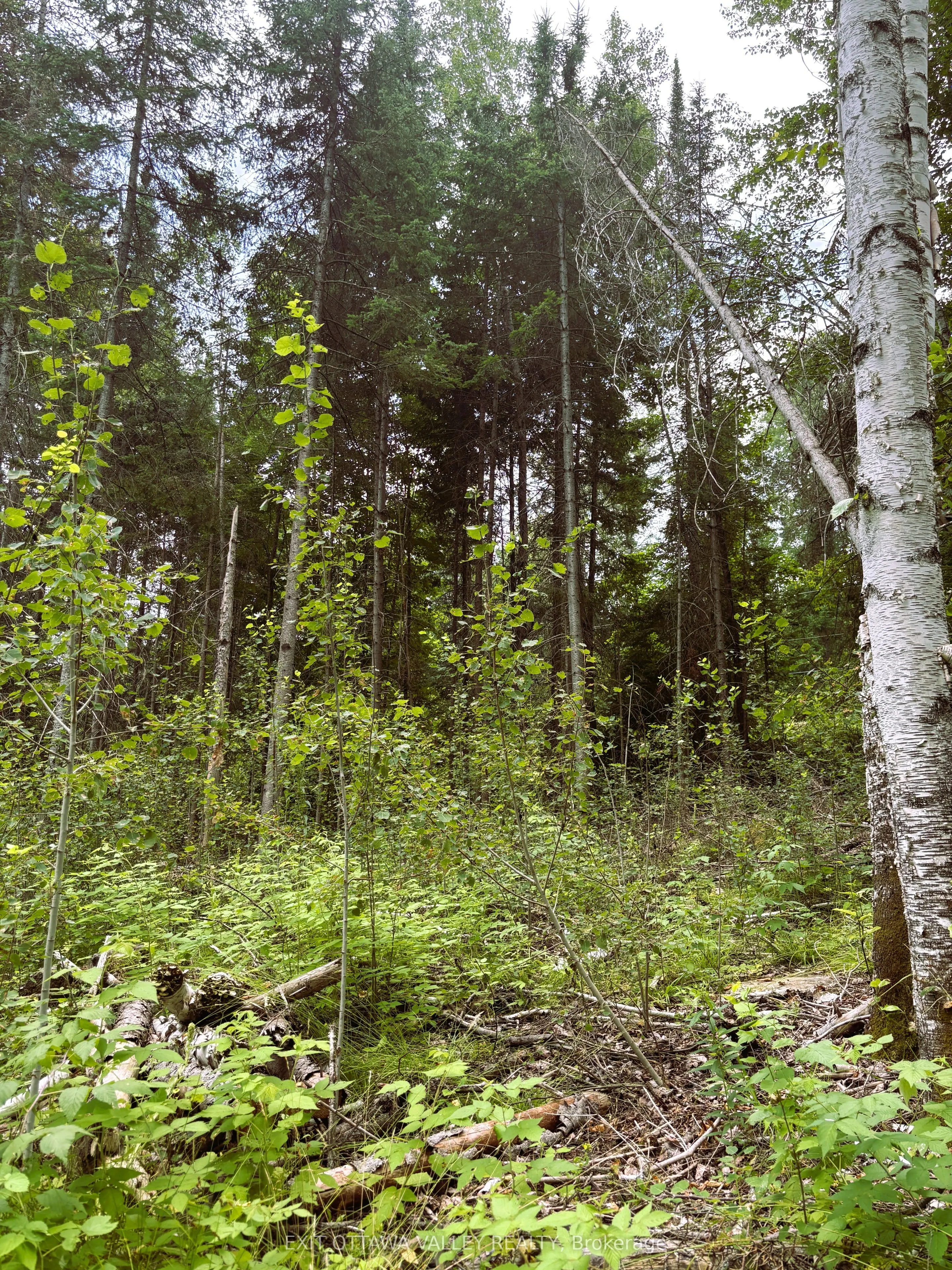001 Siberia Road