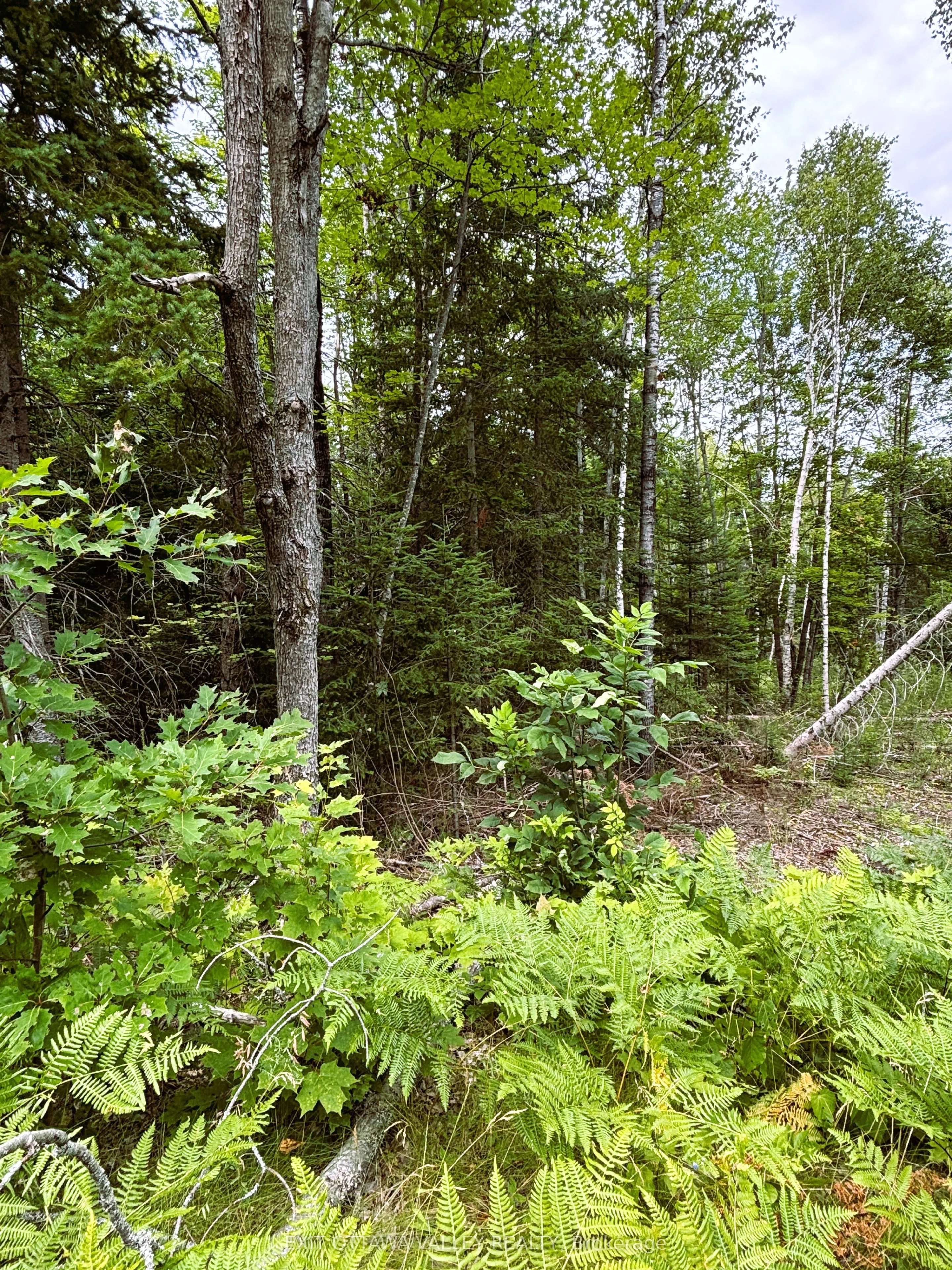 001 Siberia Road