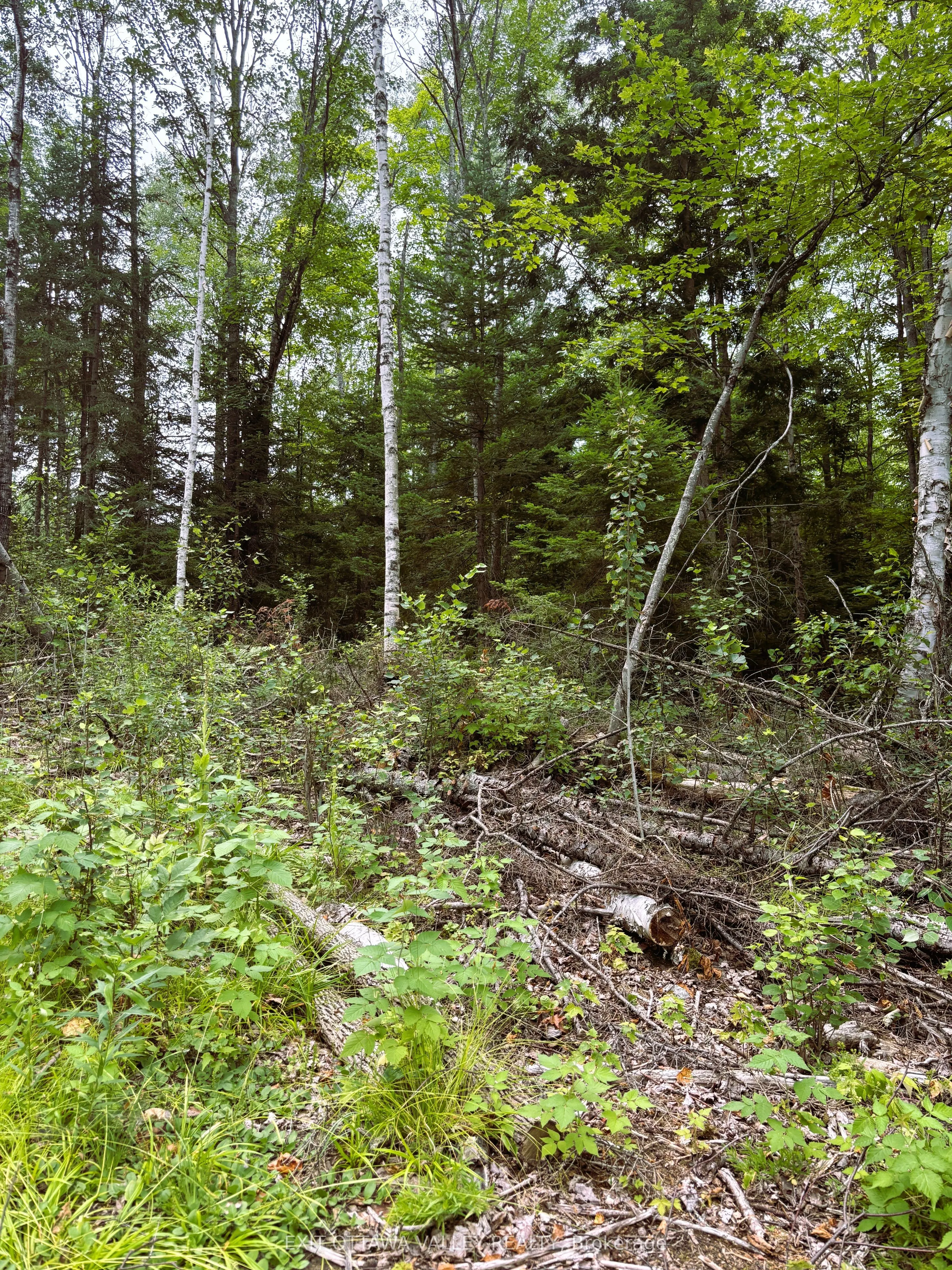 001 Siberia Road