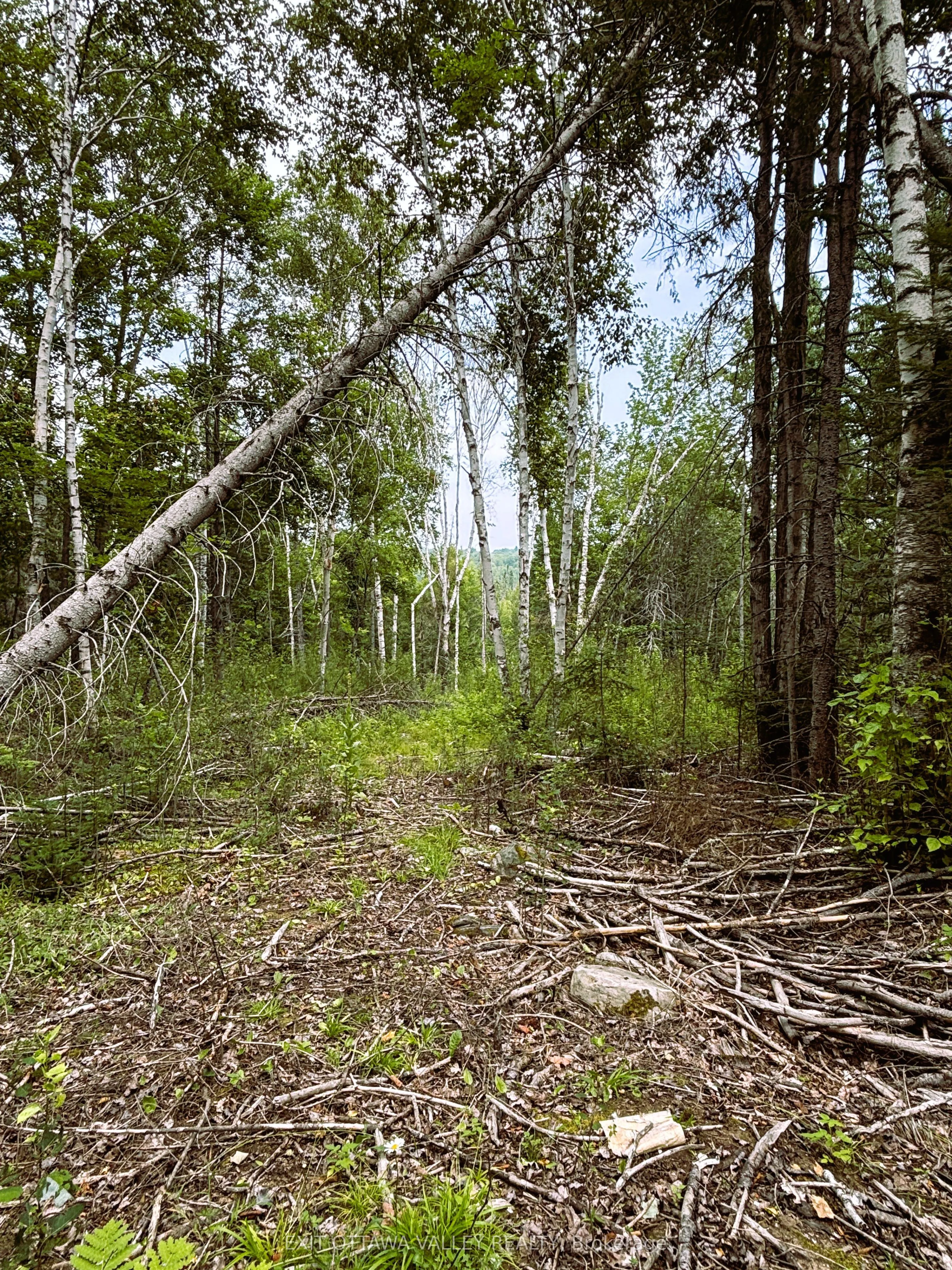 001 Siberia Road