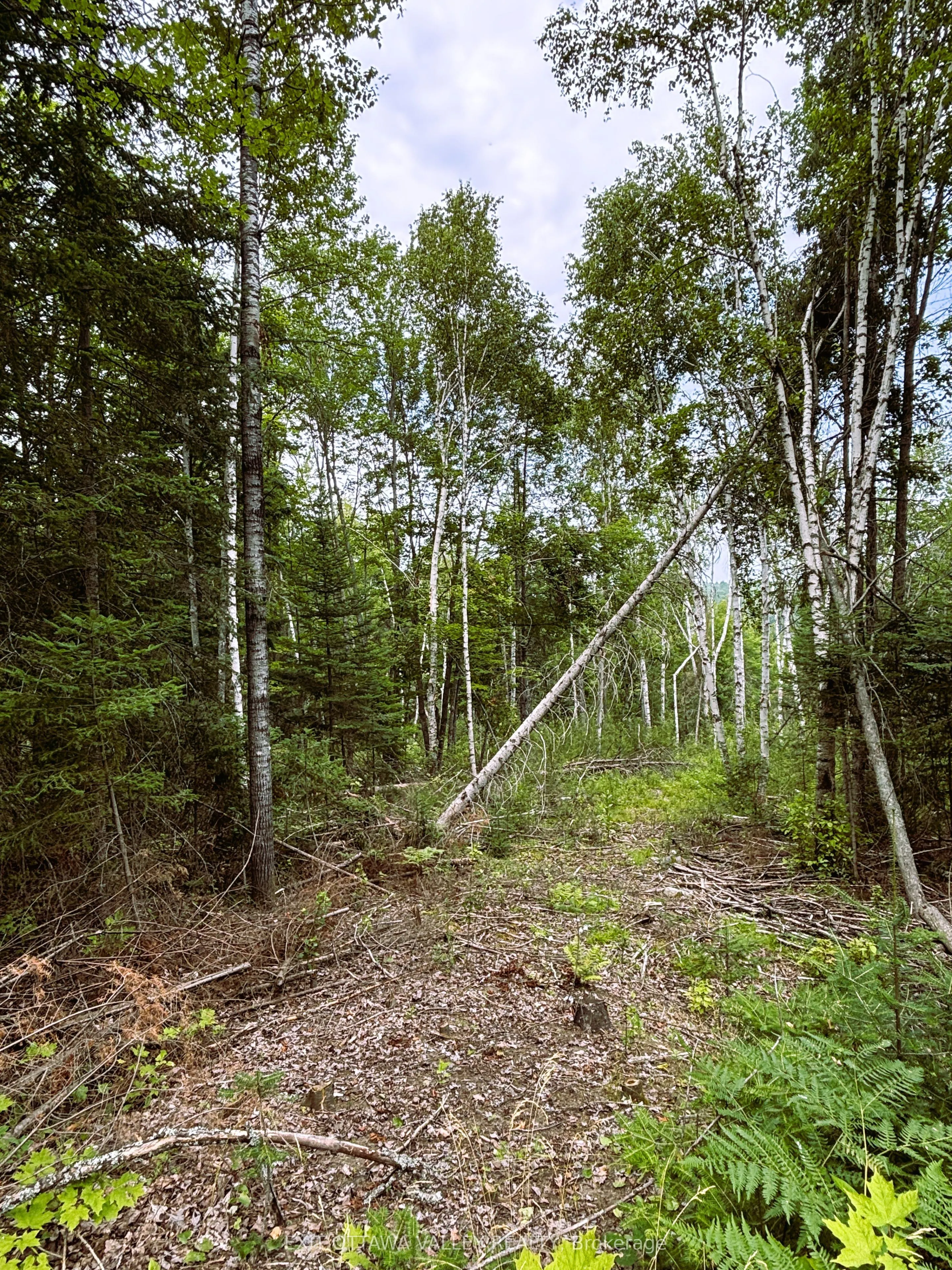 001 Siberia Road