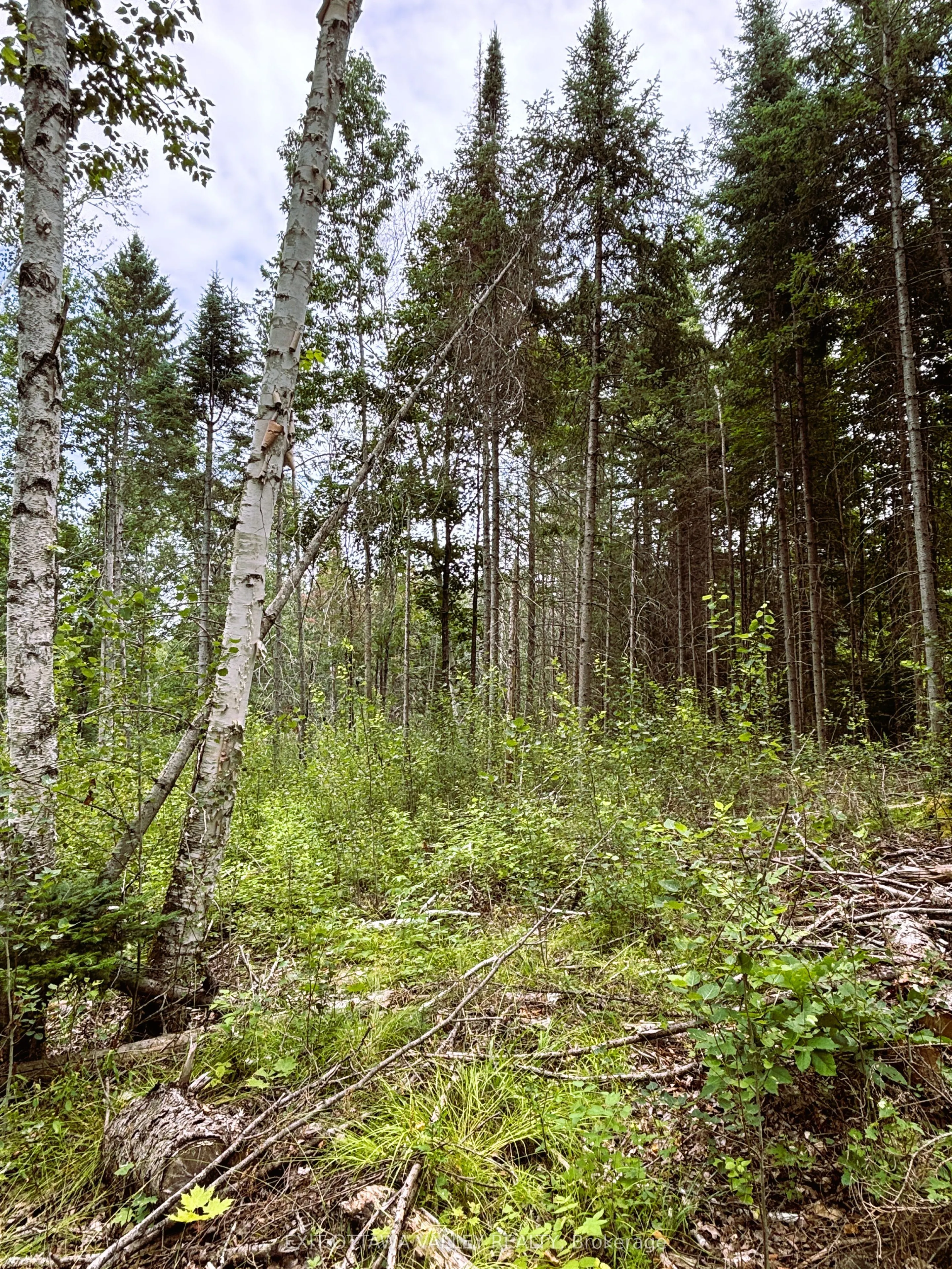001 Siberia Road