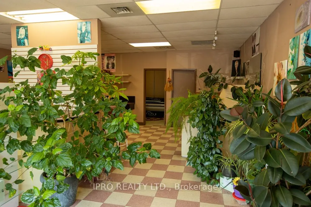 170 Brantwood Park