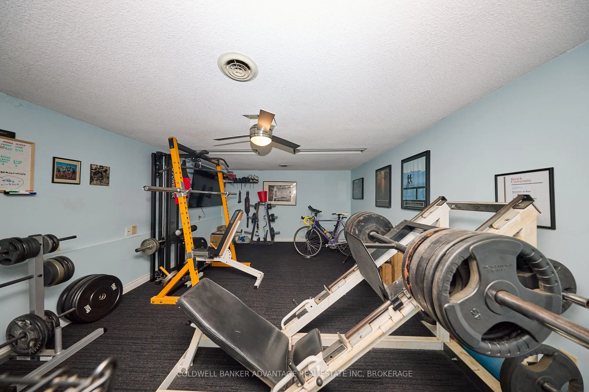 10572 Lakeshore Road