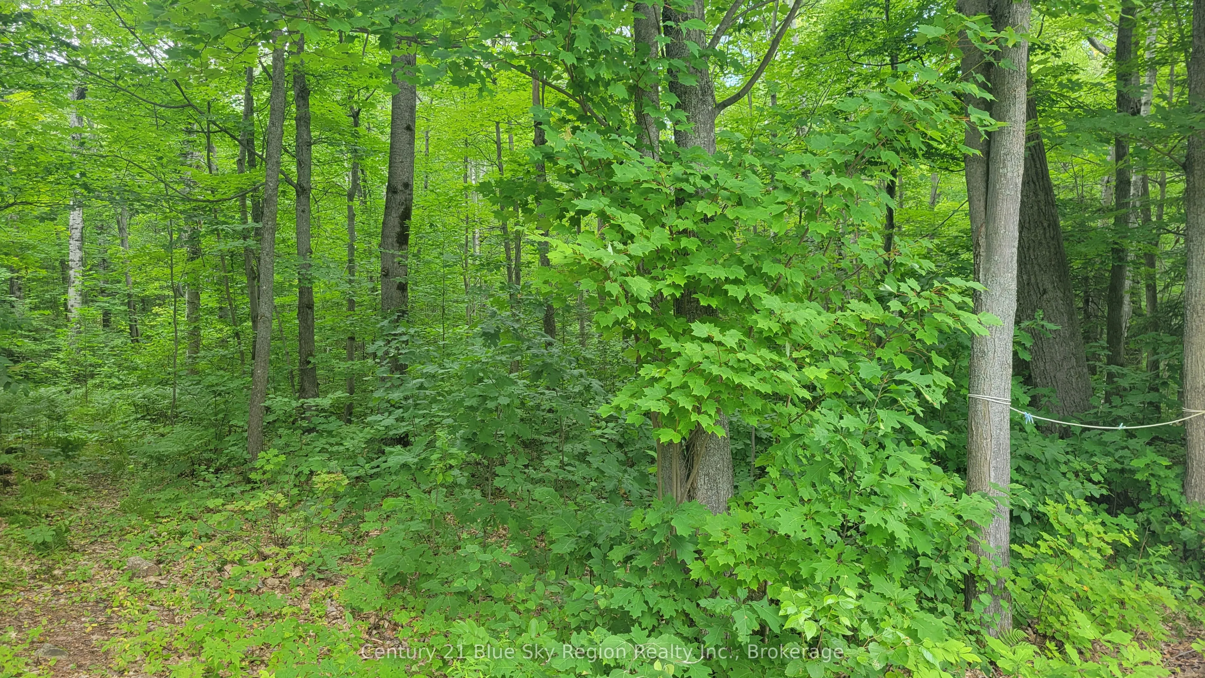 PT LOT 6 CON 9 GENESEE LAKE Road