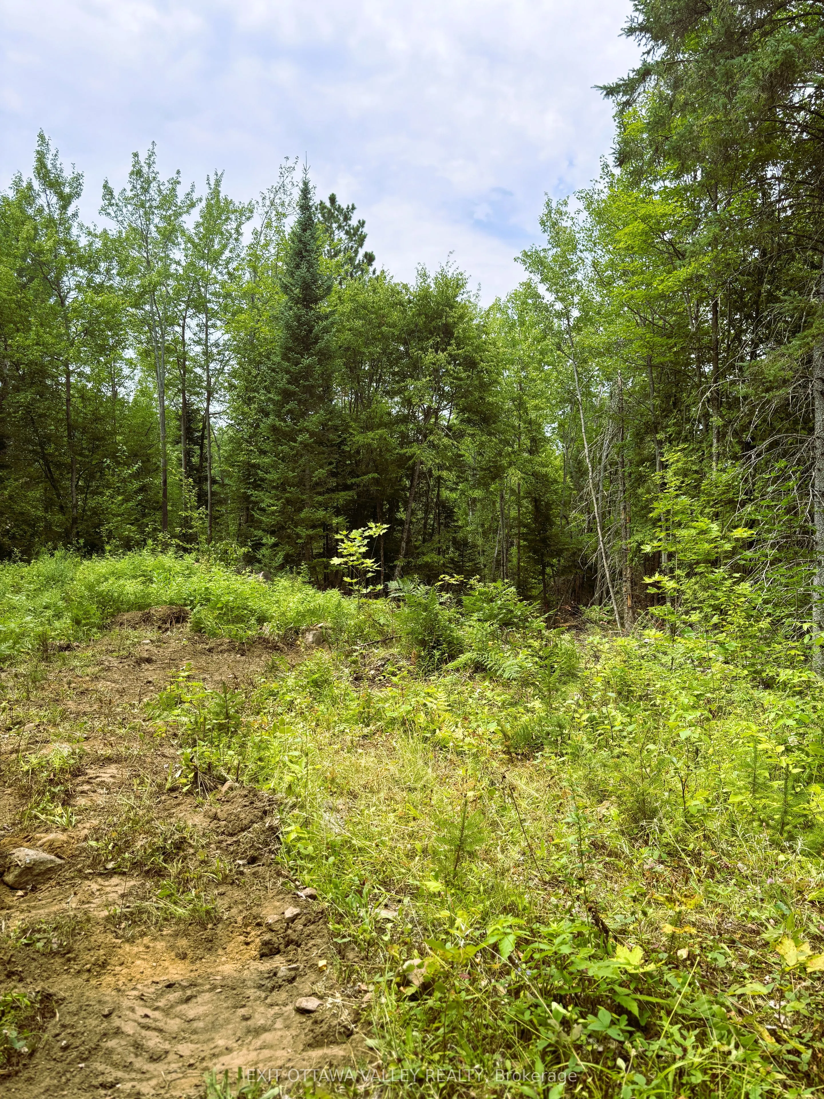 00 Siberia Road