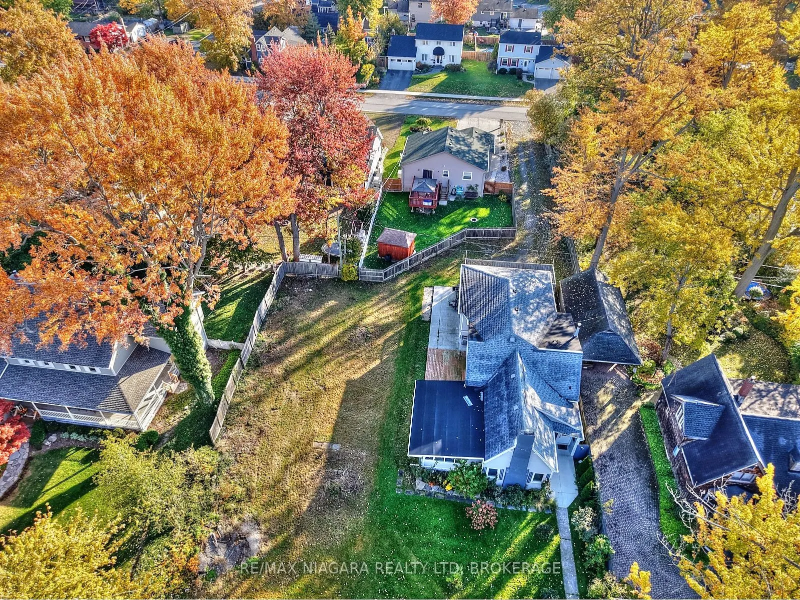 624-LT1 DAYTONA Drive