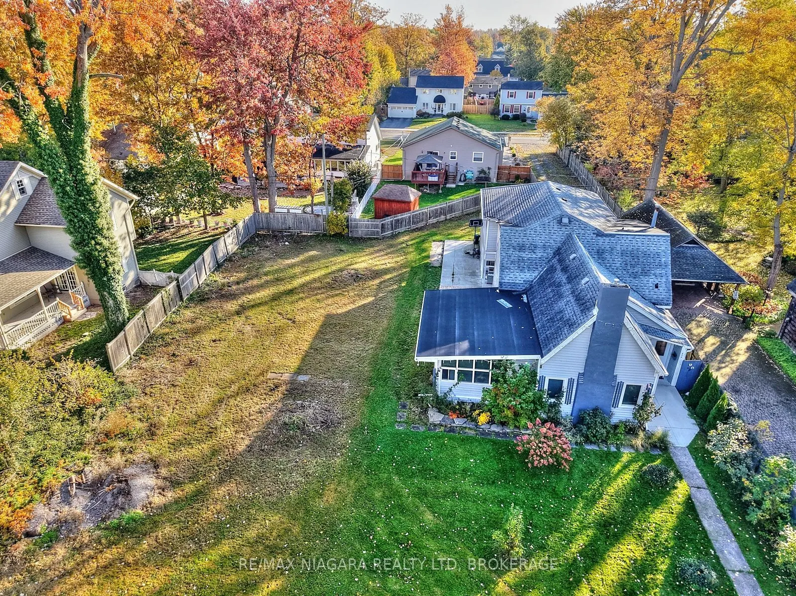 624-LT1 DAYTONA Drive