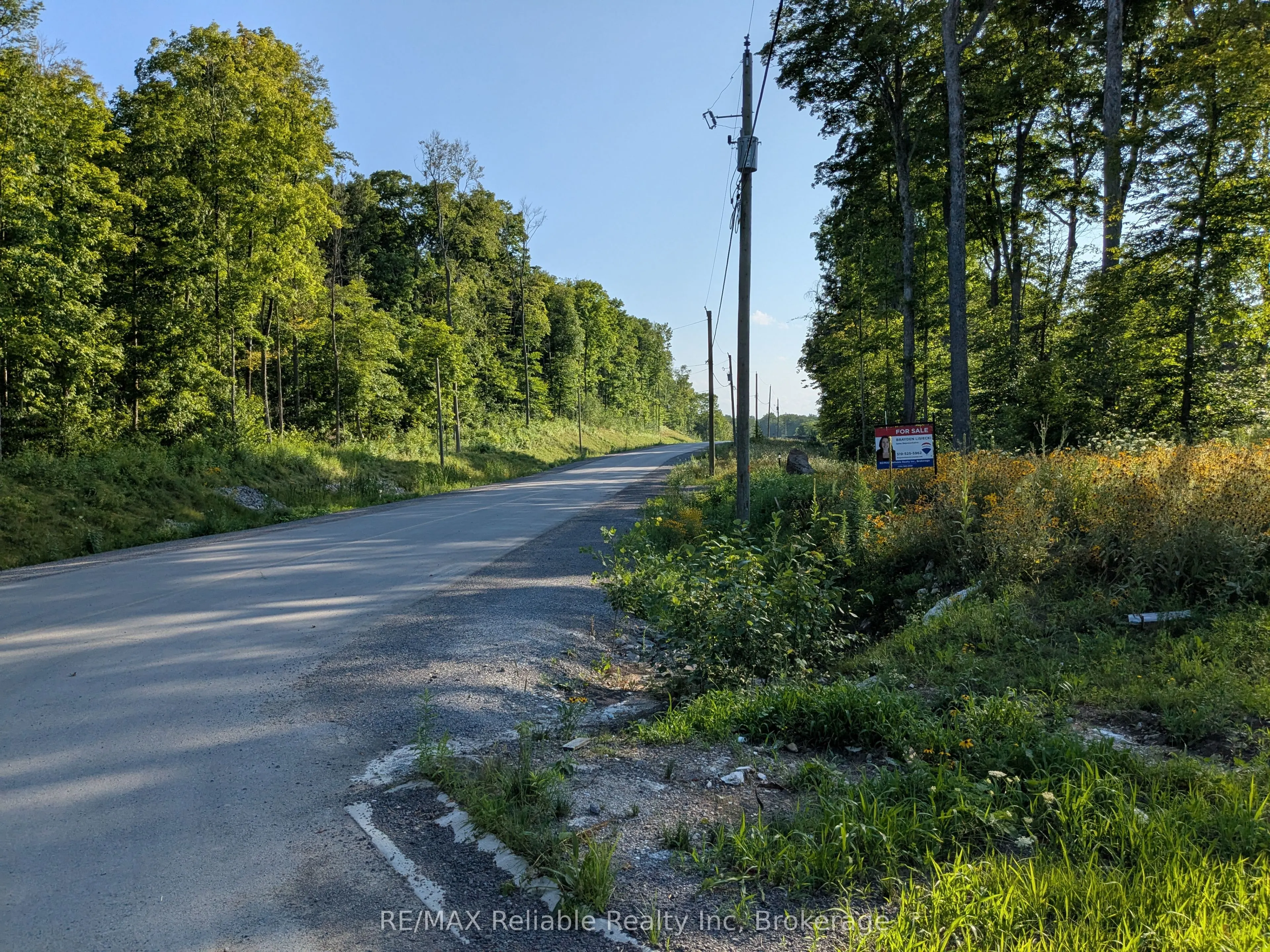 223 Shady Maple Road