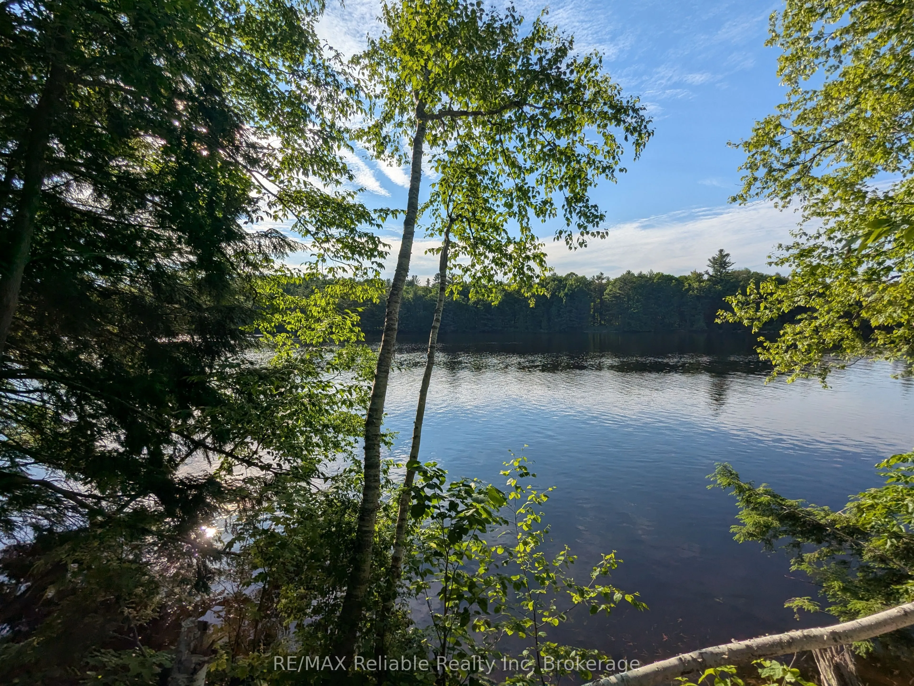 223 Shady Maple Road