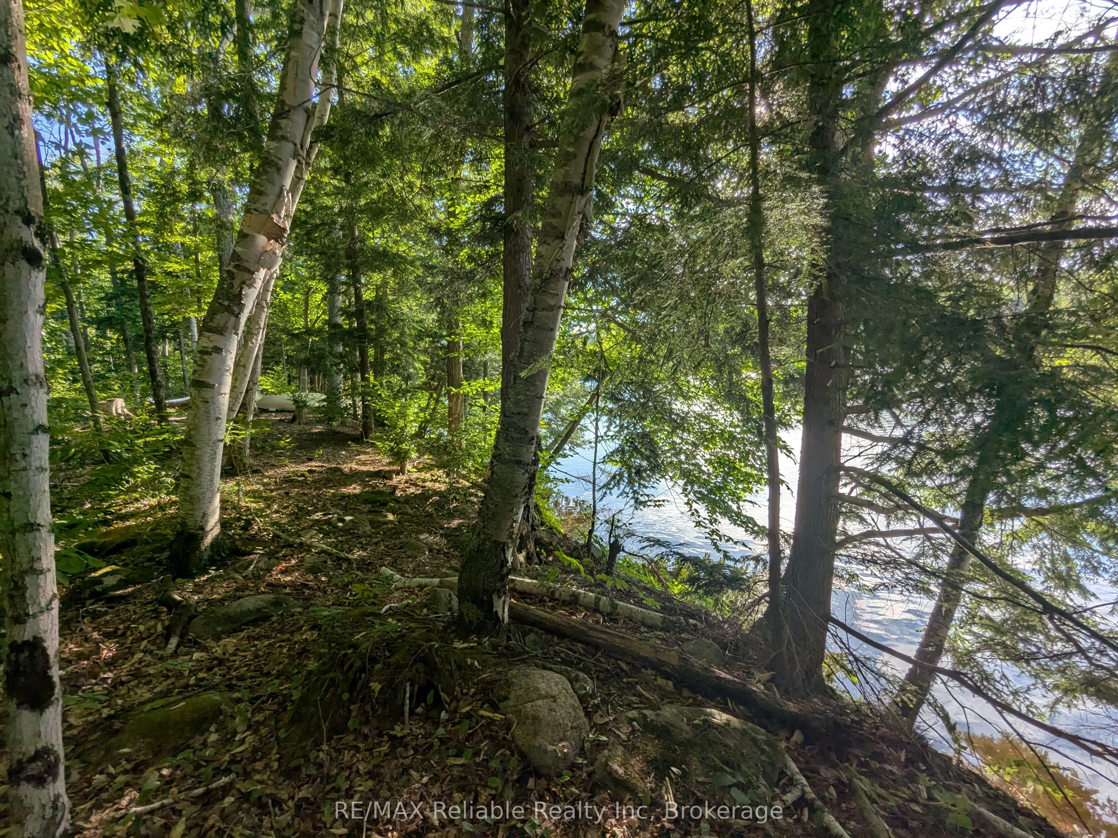 223 Shady Maple Road