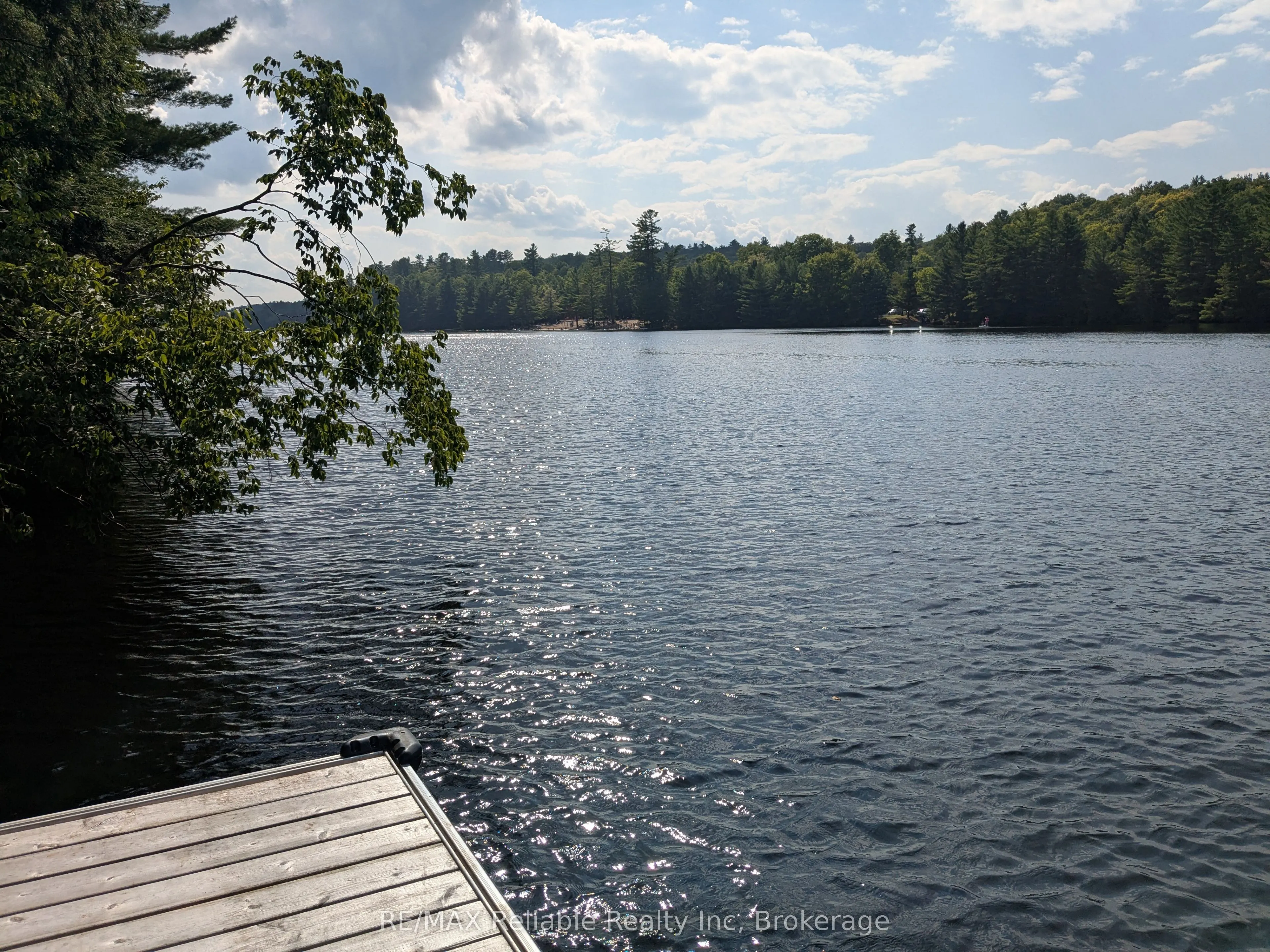 223 Shady Maple Road