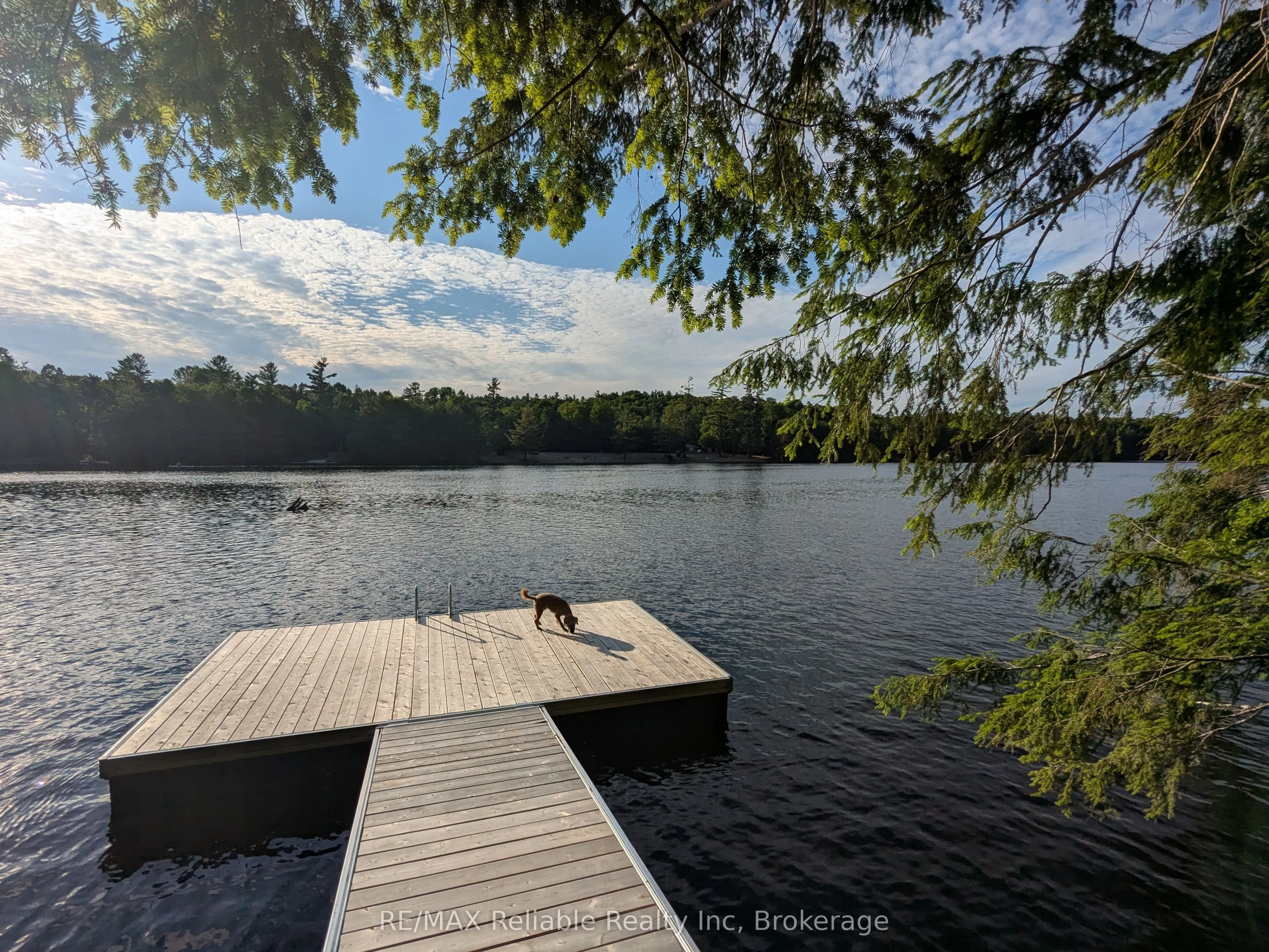 223 Shady Maple Road