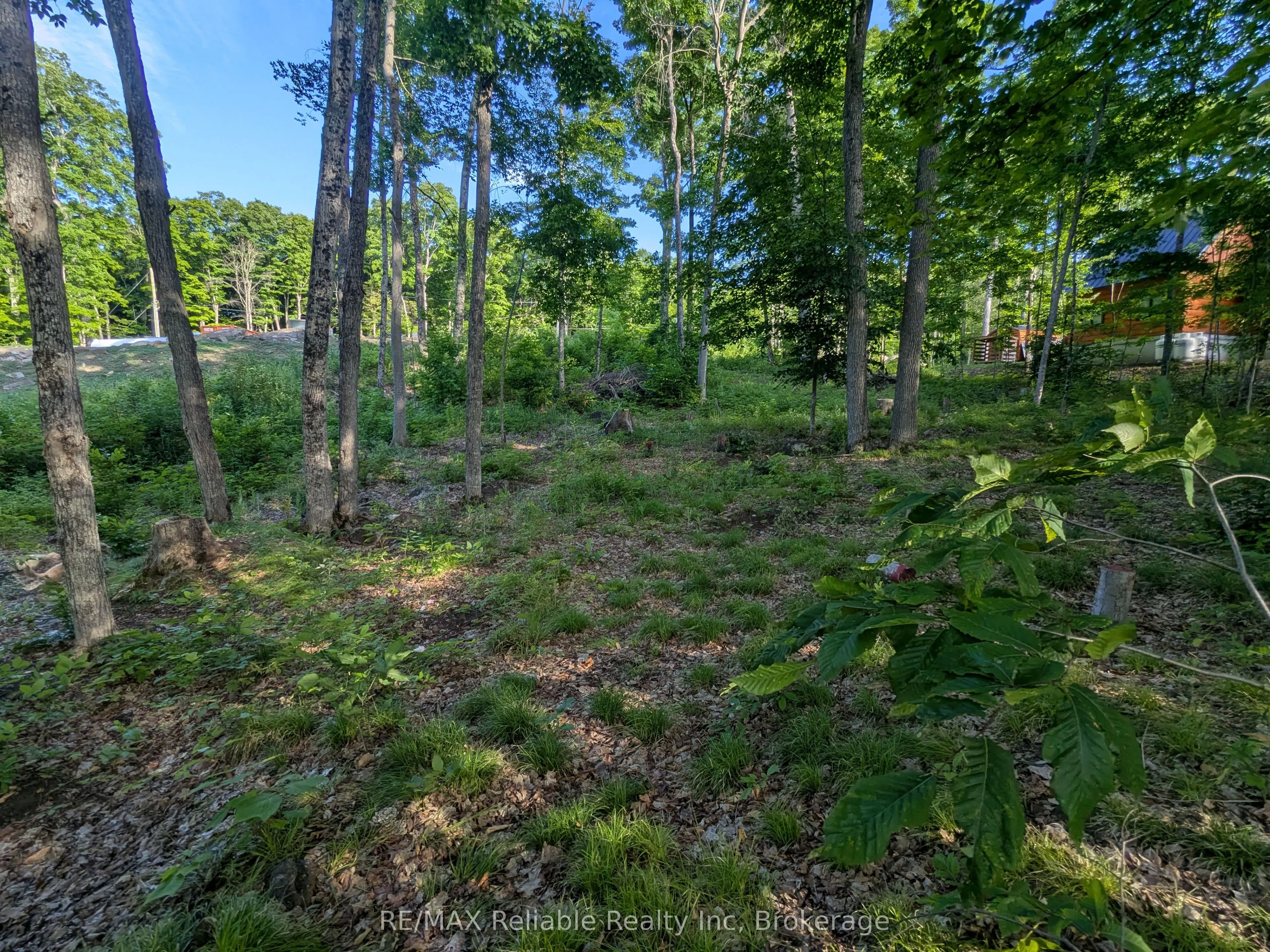 223 Shady Maple Road