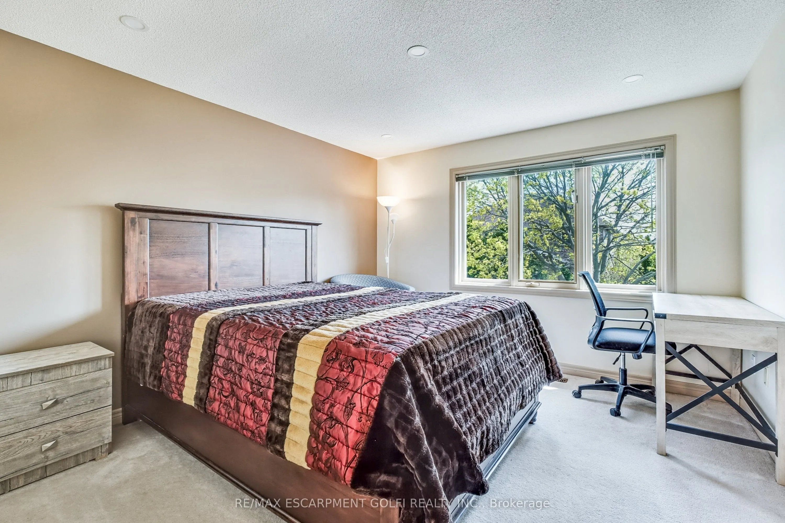 113 Meadowlands Boulevard