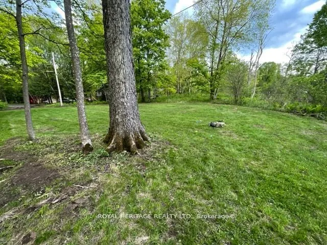 0 Cottage Lane