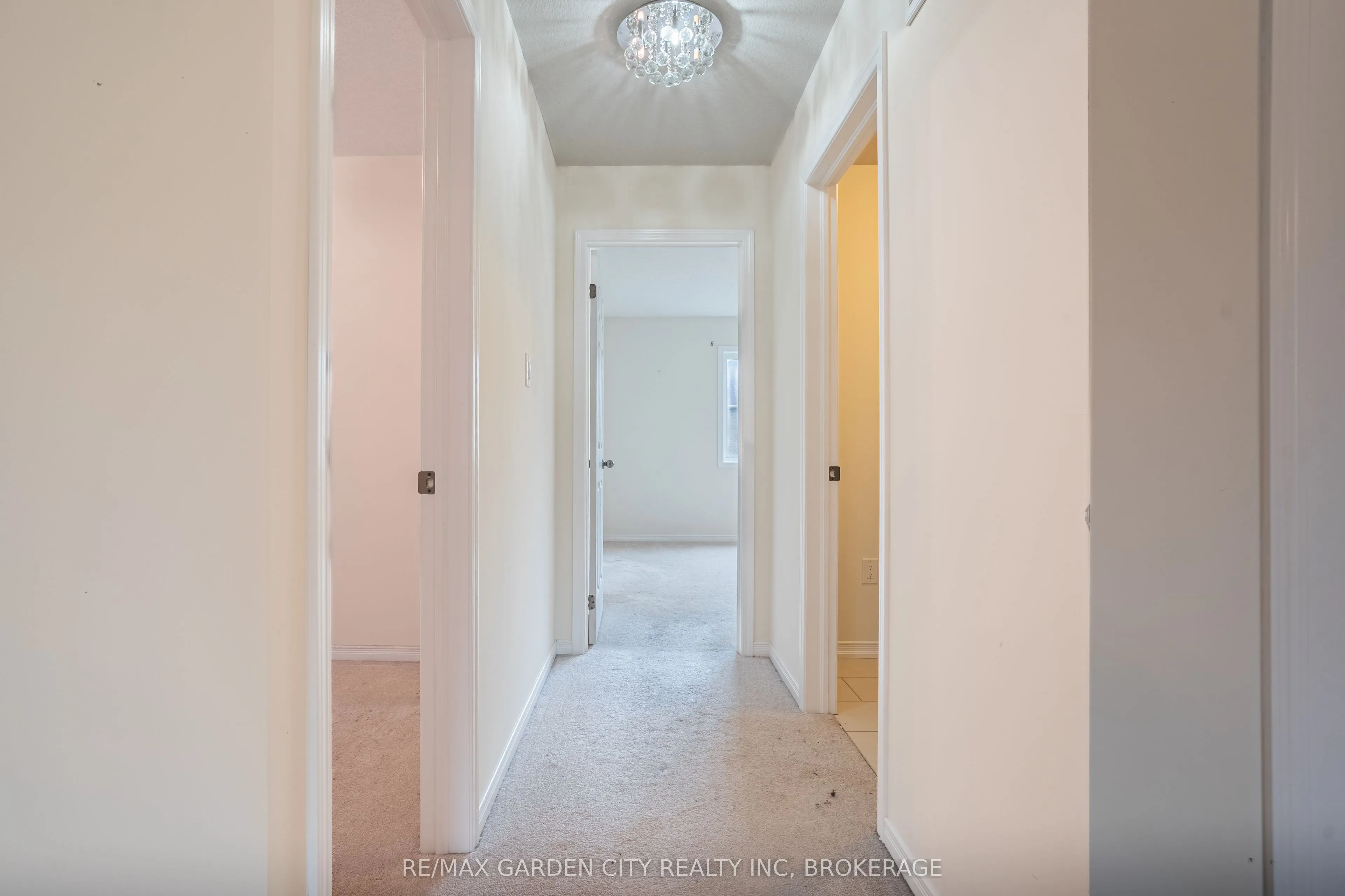 7993 Hackberry Trail