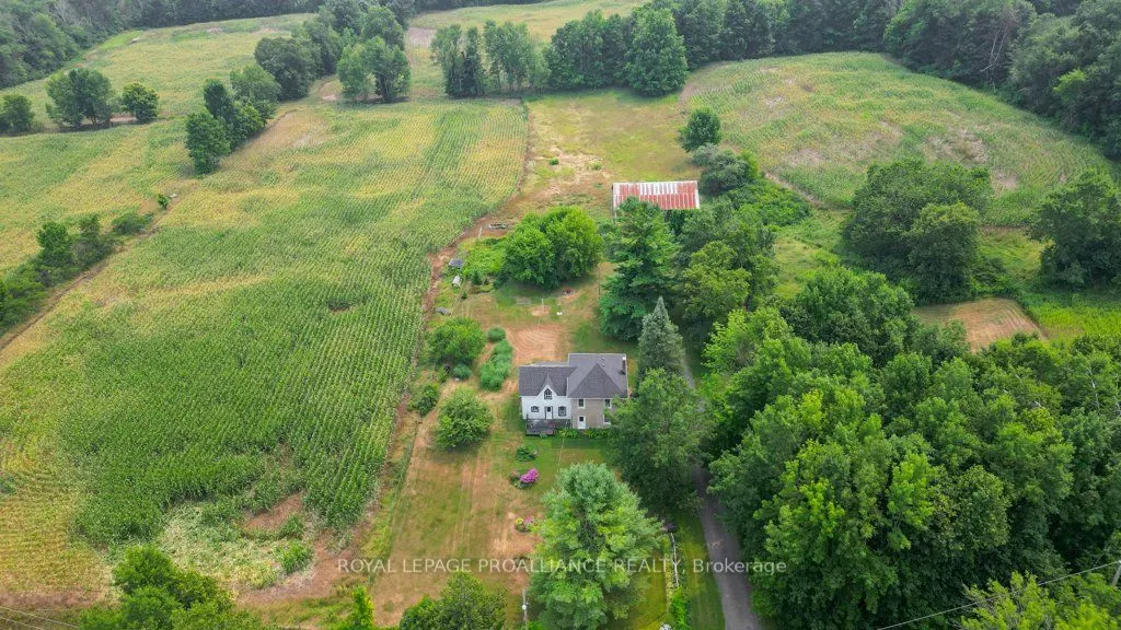 39 Palmateer Road