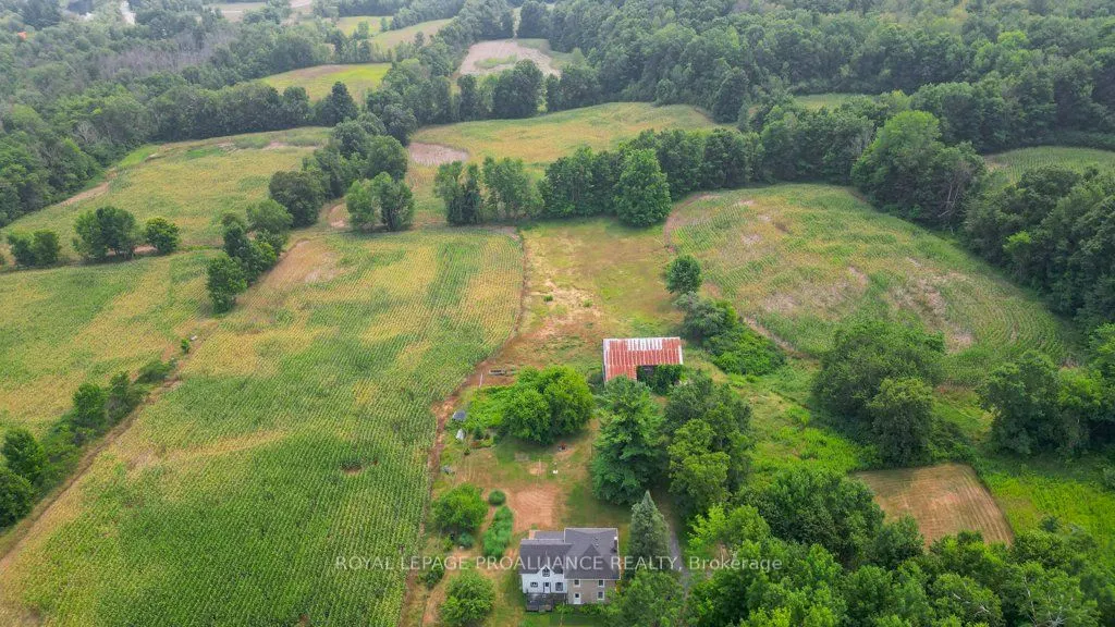 39 Palmateer Road
